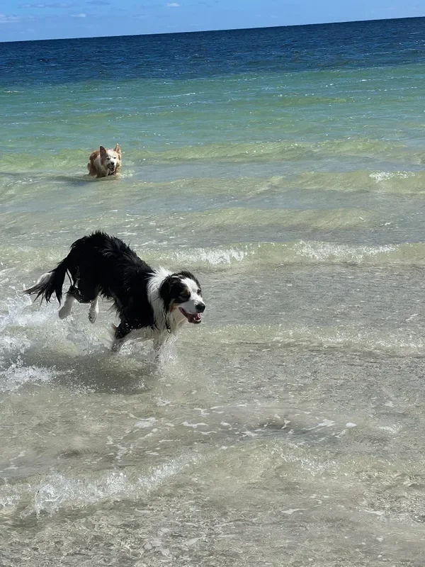 rs=w_600,cg_true,m (26).webp