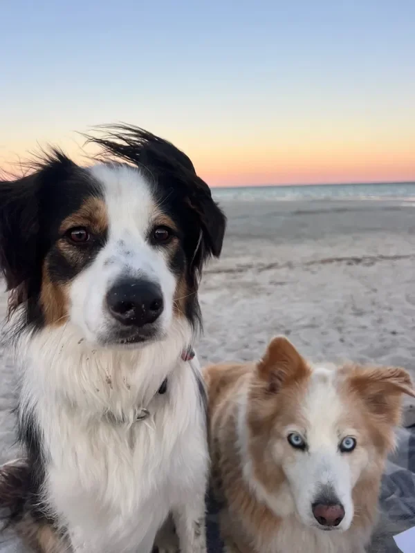 rs=w_600,cg_true,m (25).webp