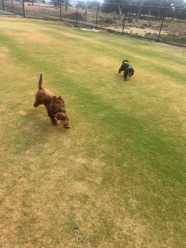 rs=w_600,cg_true,m (24).webp