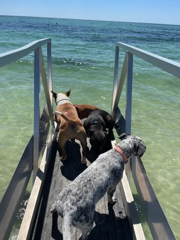 rs=w_600,cg_true,m (20).webp