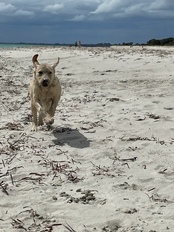 rs=w_600,cg_true,m (17).webp