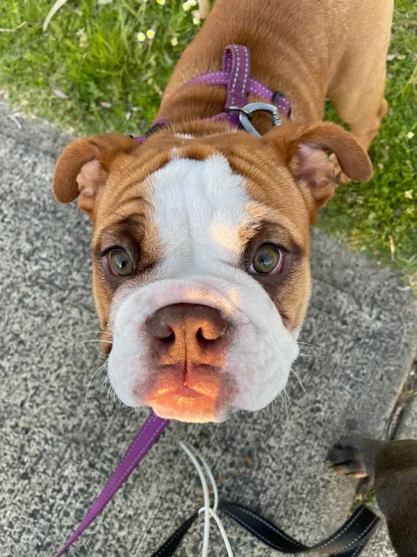 rs=w_600,cg_true,m (13).webp