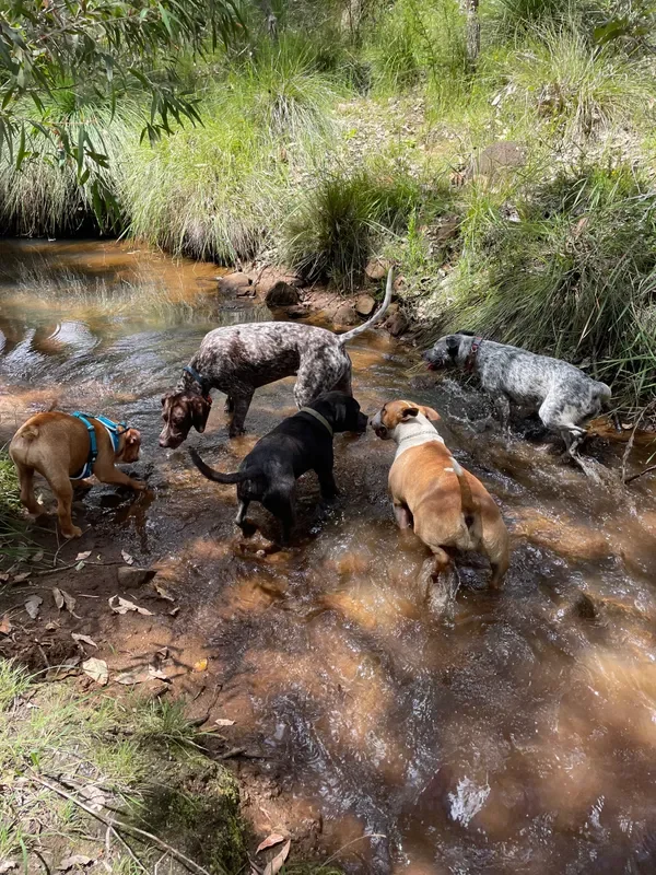 rs=w_600,cg_true,m (11).webp