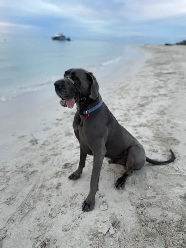 rs=w_600,cg_true,m (10).webp