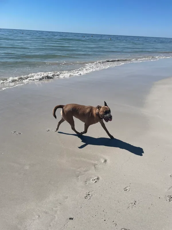 rs=w_600,cg_true,m (8).webp