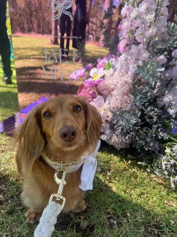 rs=w_600,cg_true,m (5).webp