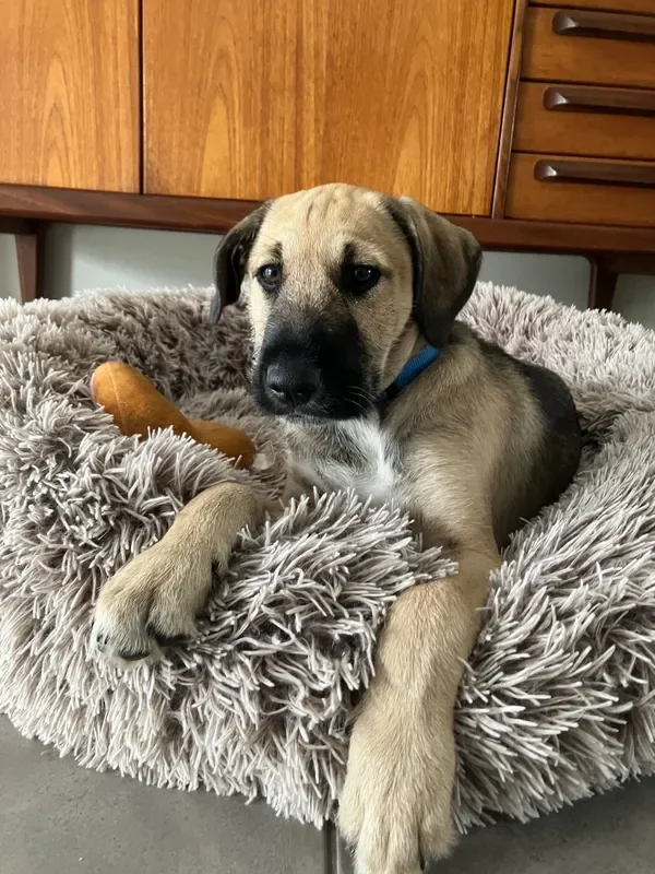 rs=w_600,cg_true,m (4).webp