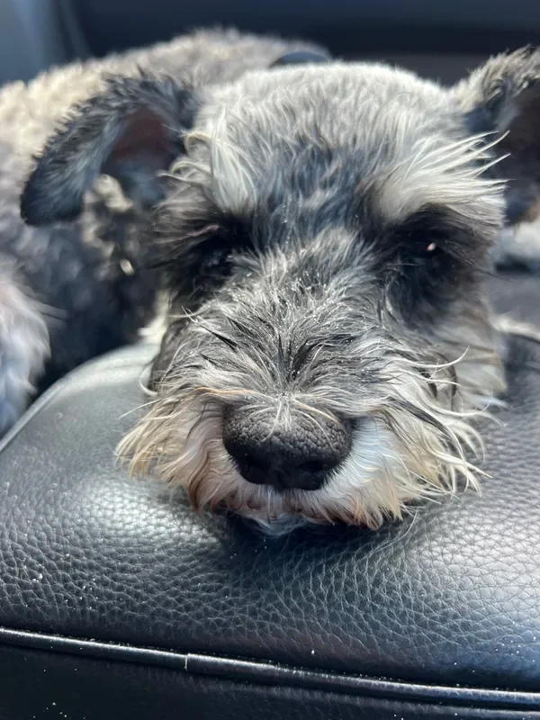 rs=w_600,cg_true,m (1).webp