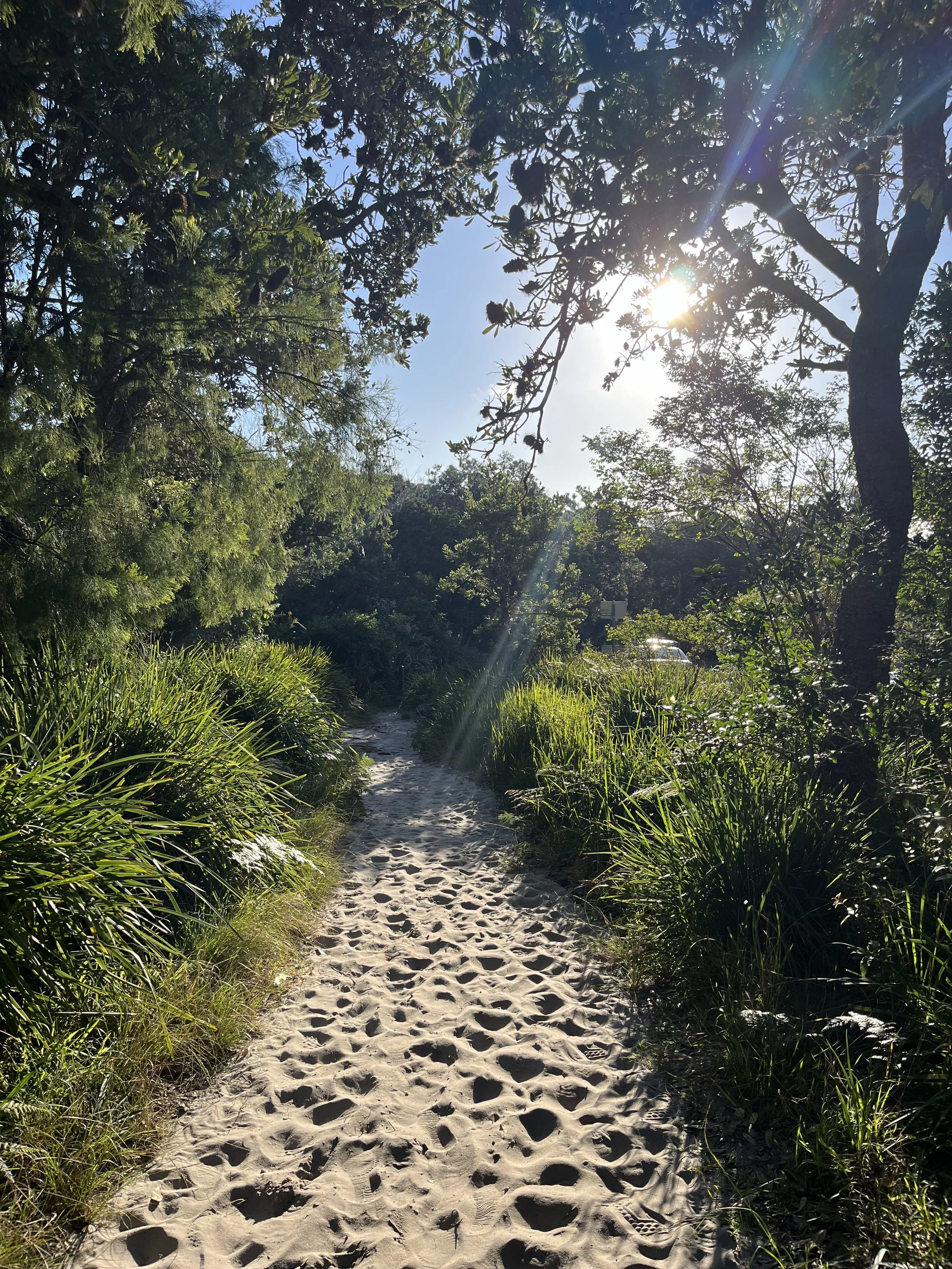 Sandy footpath lined with green bushes and trees, sunlight shining through the branches, on a sunny day.
