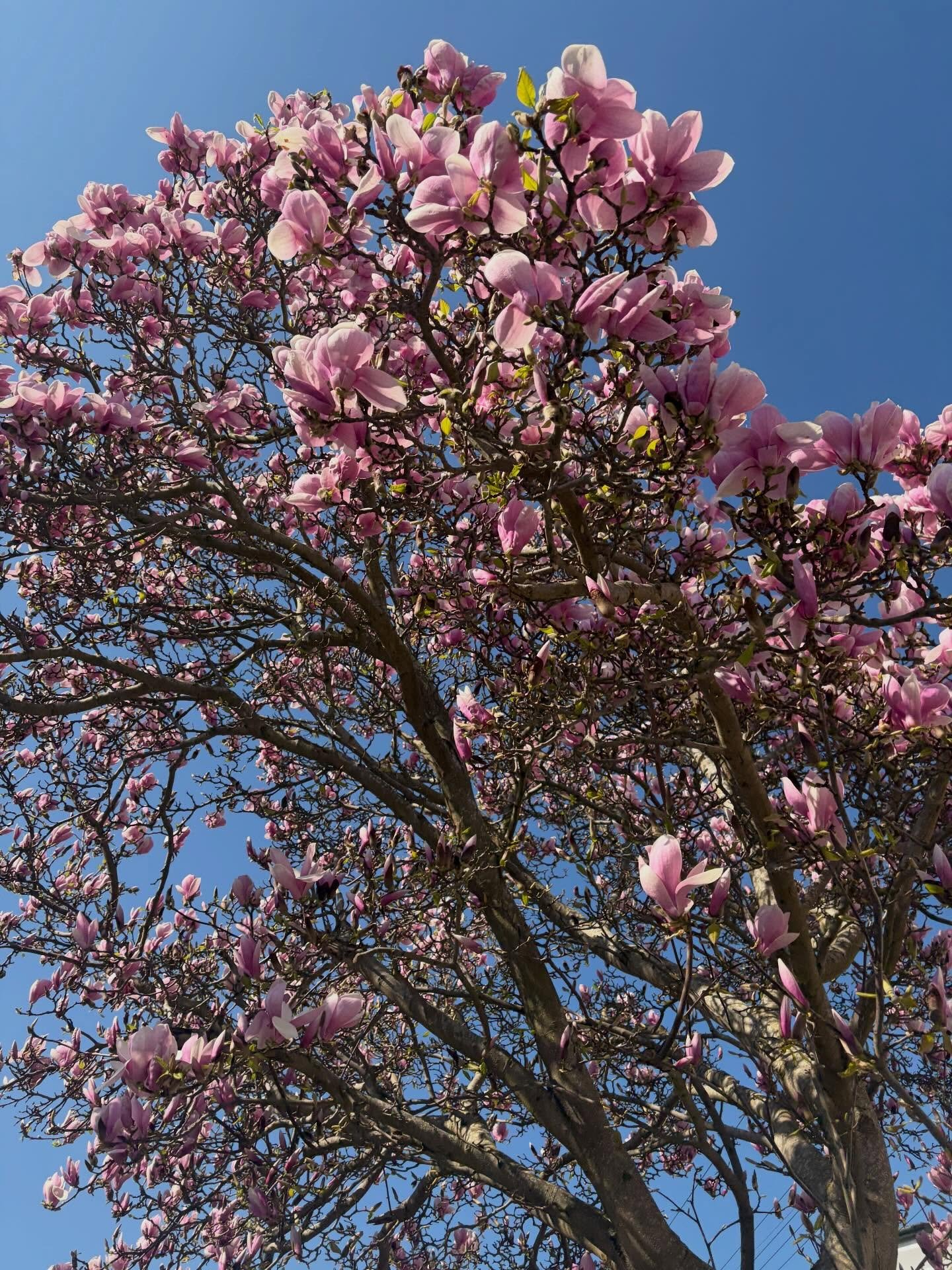 We made it girls 🌼🌸🌱🌷🌺