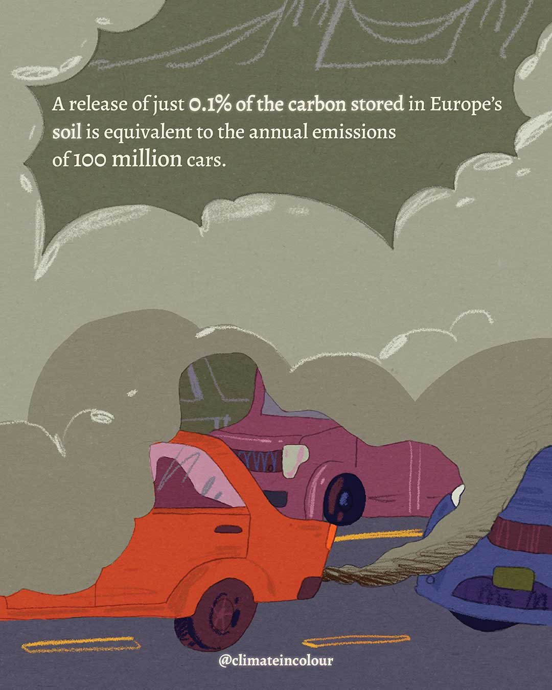 cars-fungi-web.jpg