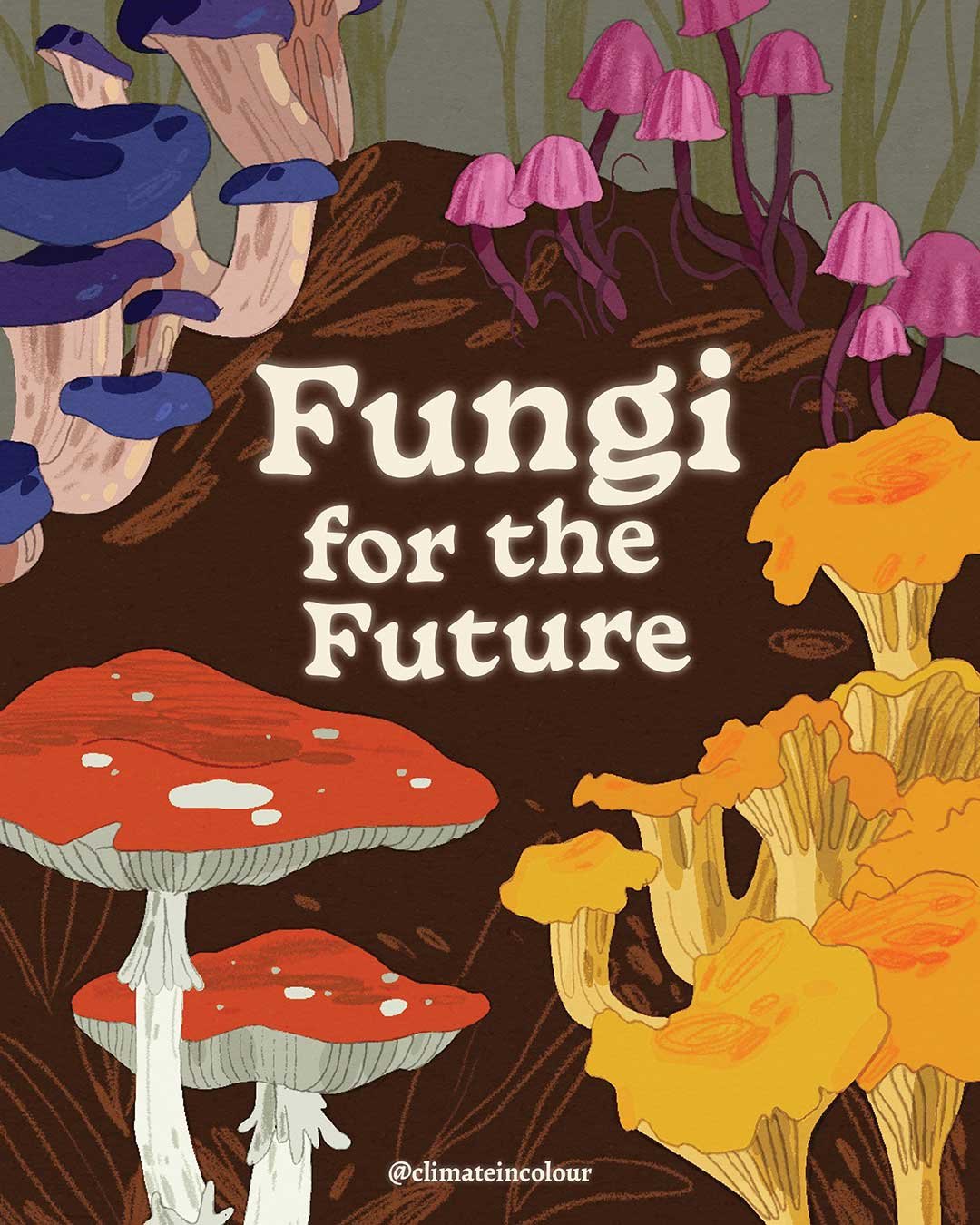 page1-fungi-web.jpg