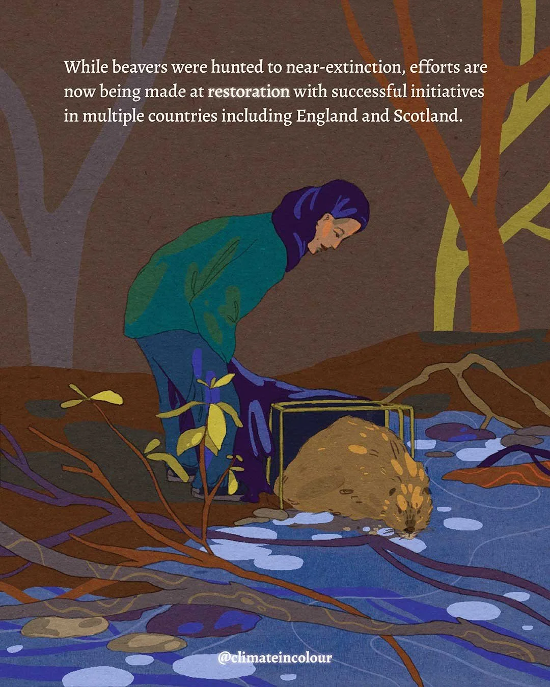 beavers-page5-web.jpg