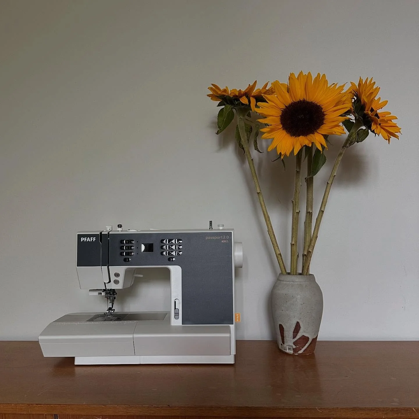 One of the things doing more teaching has made me want to do is learn even more. I don&rsquo;t think I have had such a drive to try my hand at so many new things and really up skill myself in a LONG time. As well as doing some garment specific making
