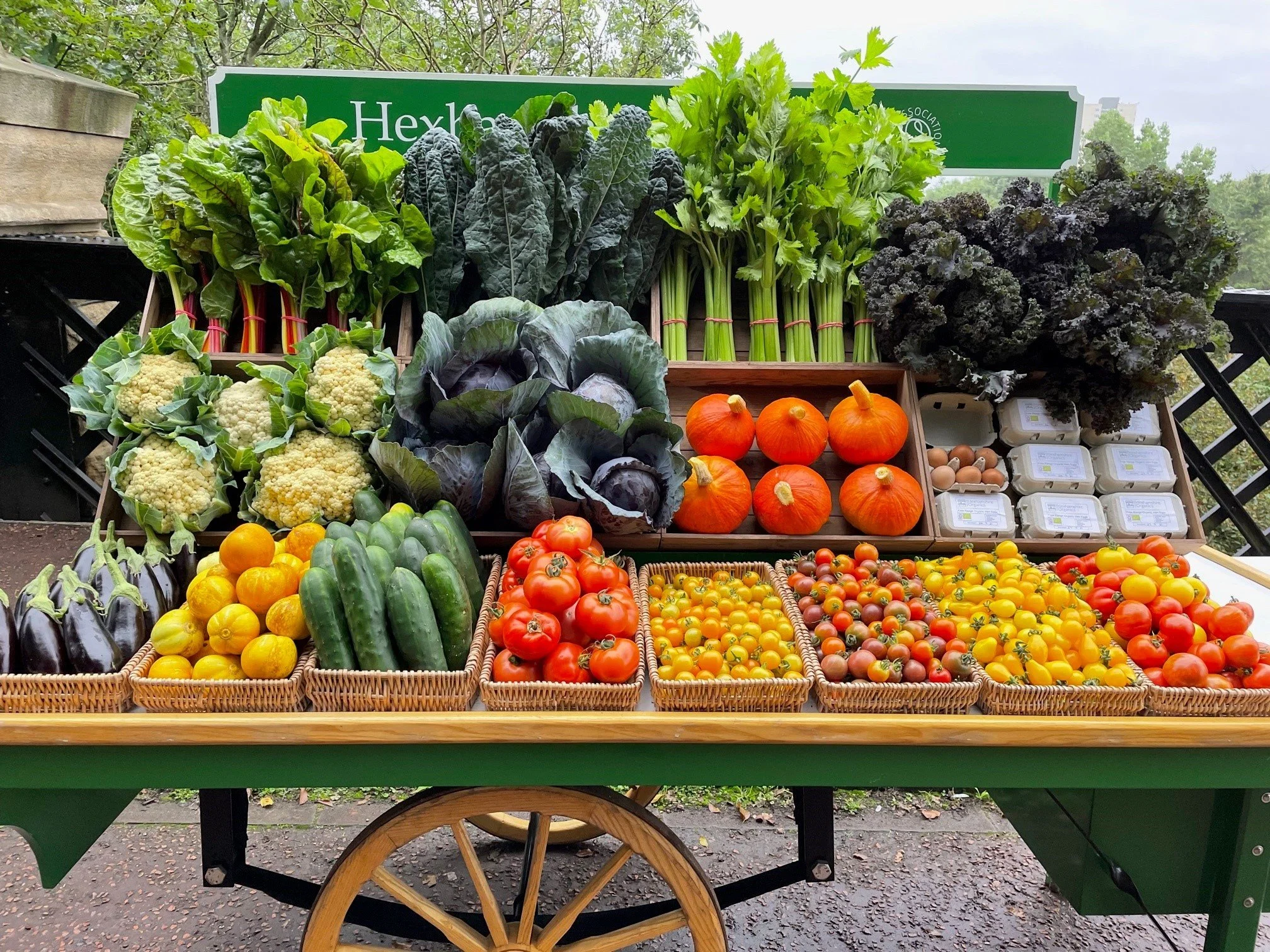 Organic September: What Does Choosing Organic Really Mean?