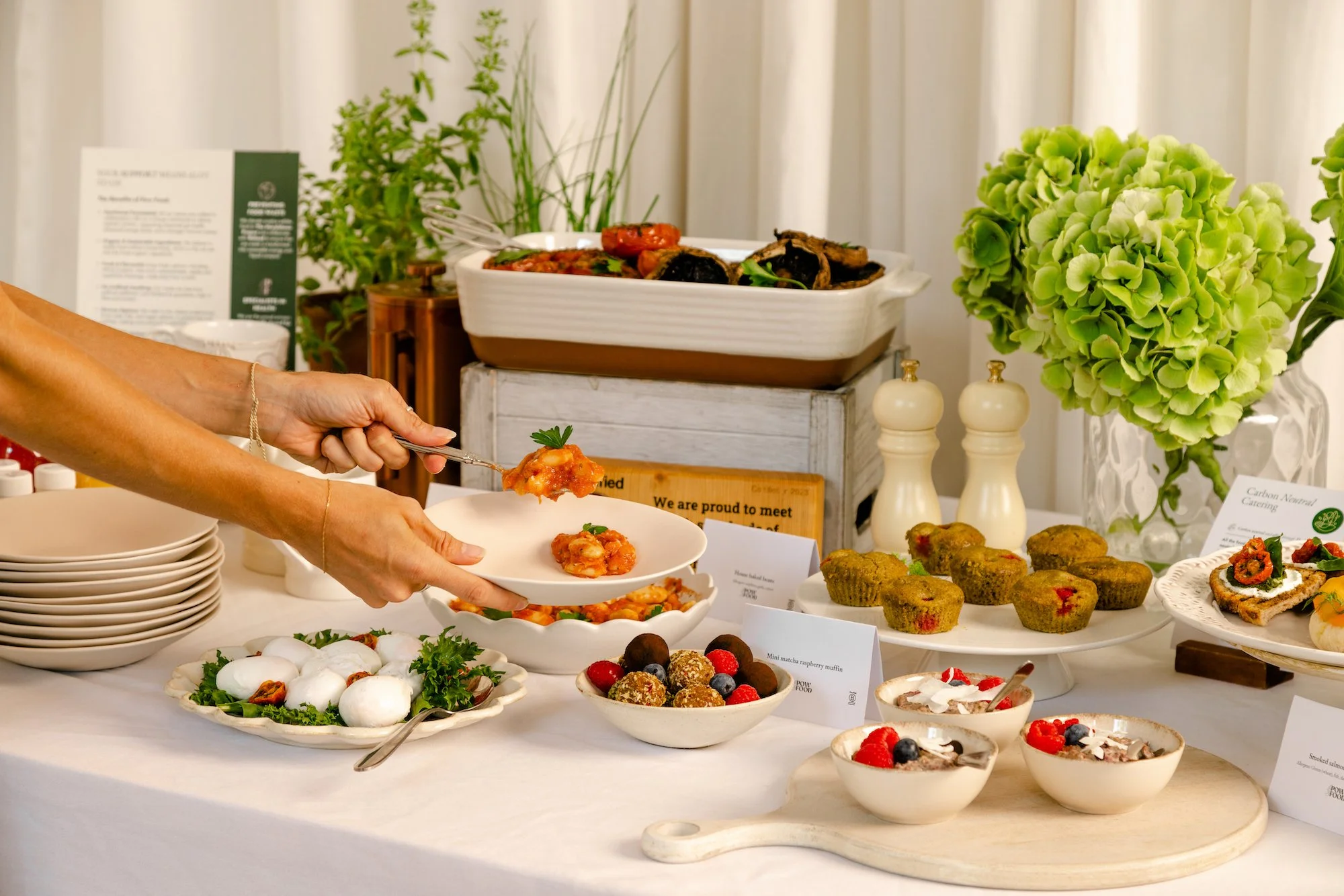 Piow Food About Us | Explore Nutrition Solutions – Get Started Today — Pow Food
