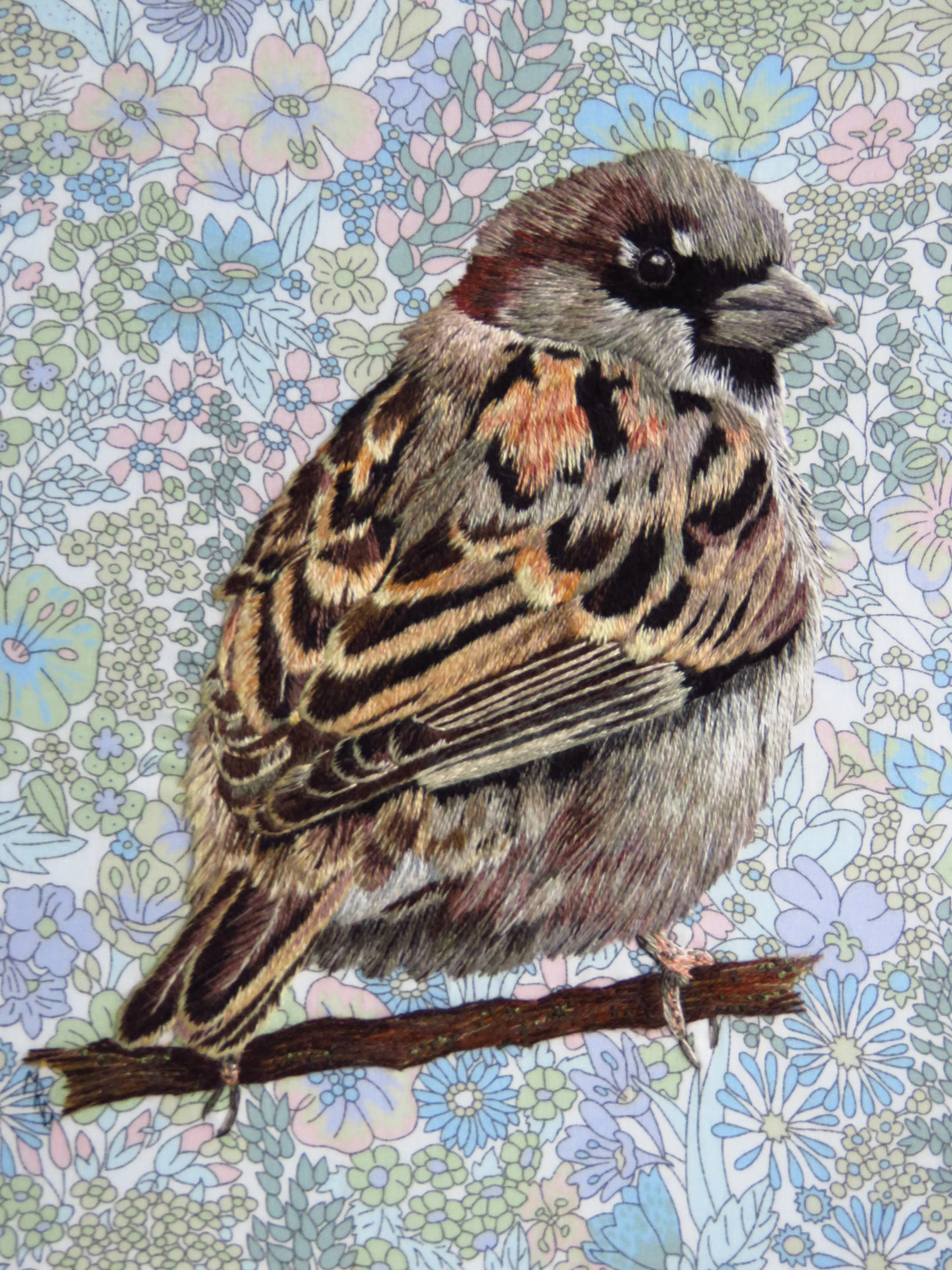 Stanley. Stanley sparrow was a very chatty sparrow that would sit in my front garden on a hedge and would not stop chattering. I took lots of photos of him and decided that a flowery Liberty print background was perfect for him.
Long and short stitch