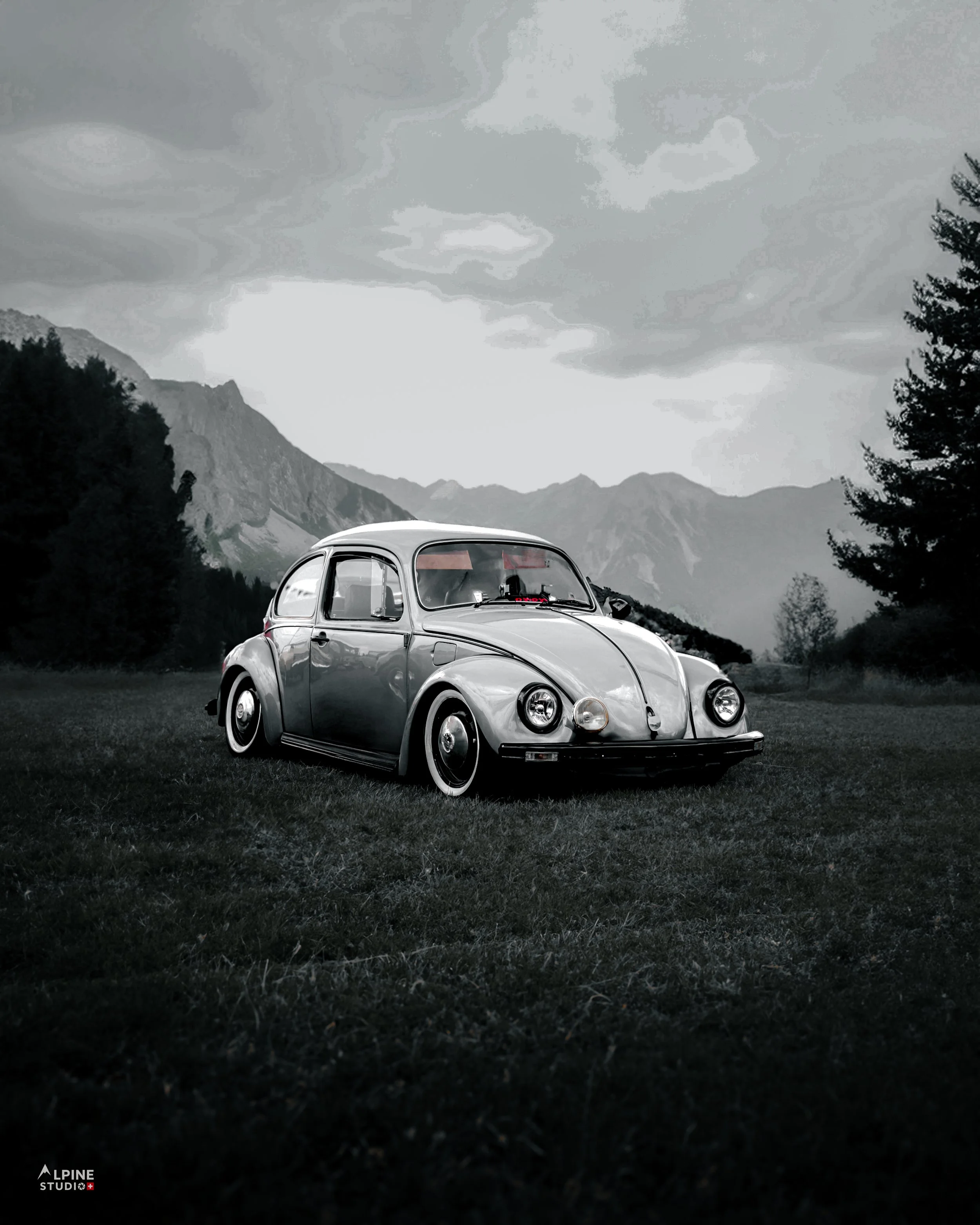 rally-4.jpg