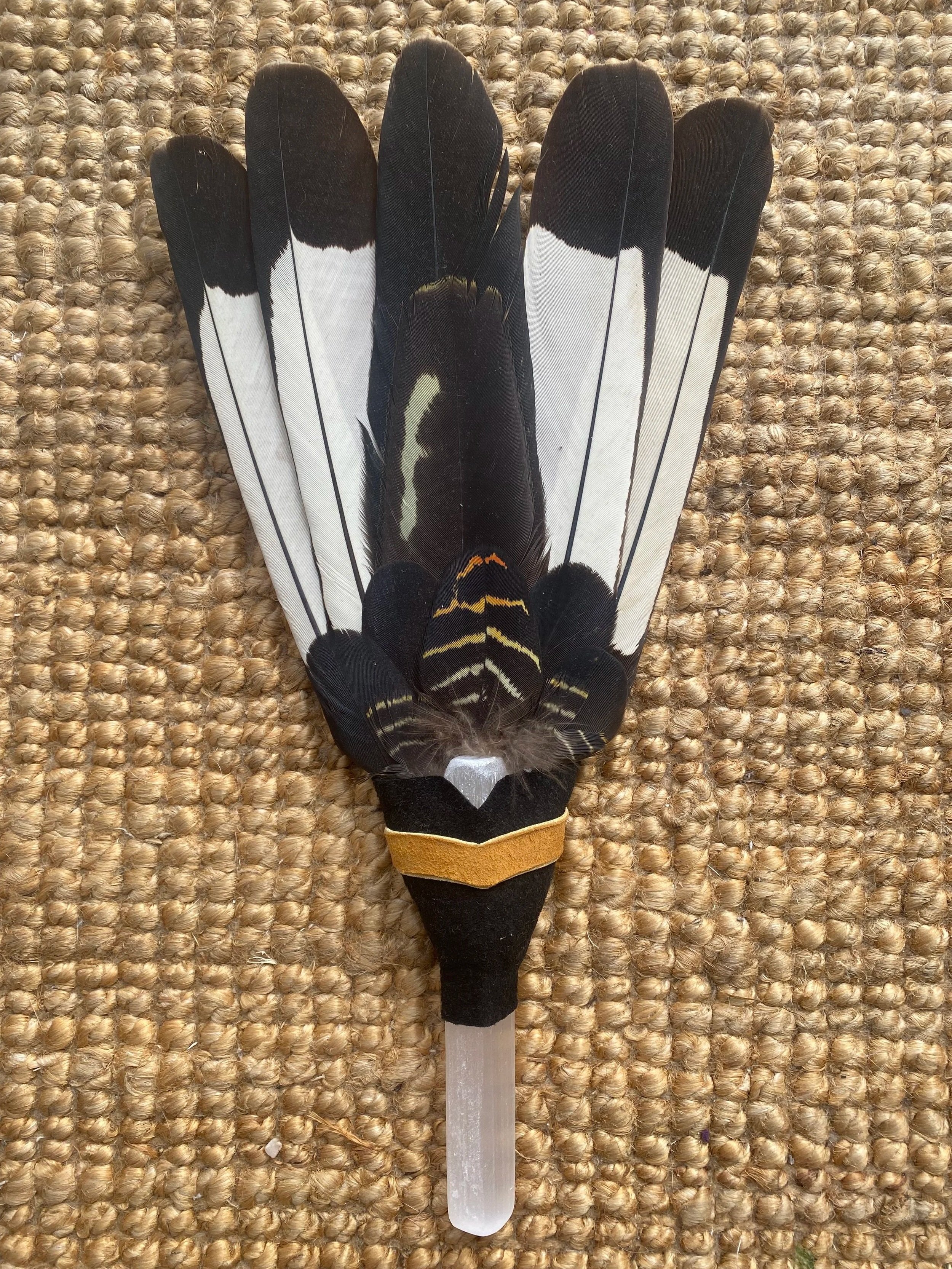 white+tail+black+coacktoo+fan5.jpg