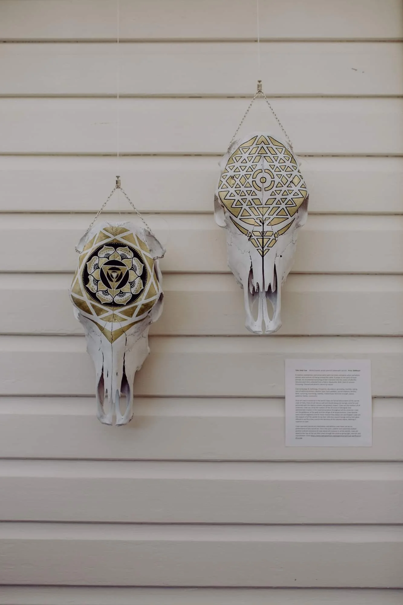 Two decorative animal skulls with intricate geometric designs hanging on a wall.