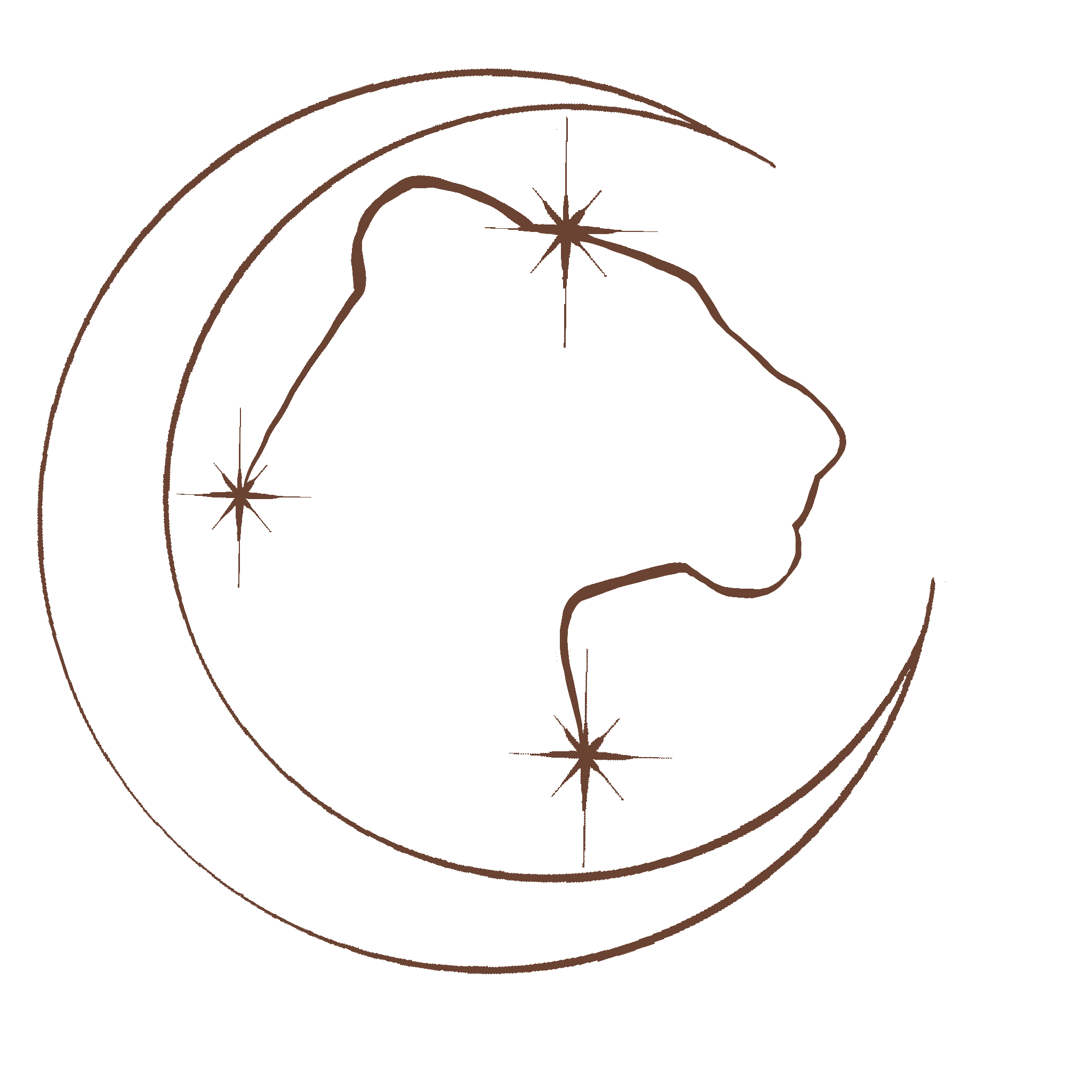 A simple outline of a woman's face in profile within a crescent moon, surrounded by stars, with a celestial theme.