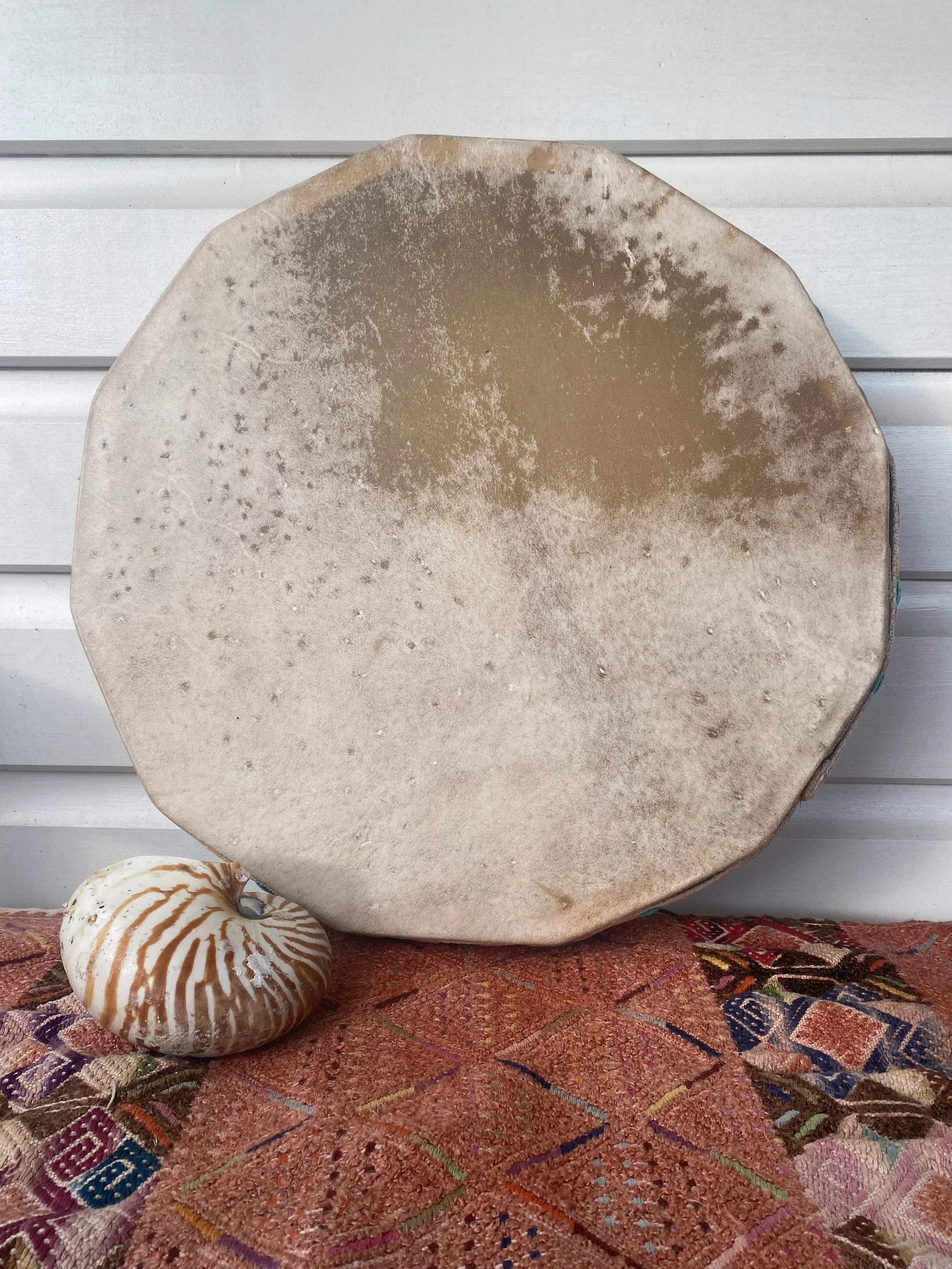 ocean drum1of1.jpg