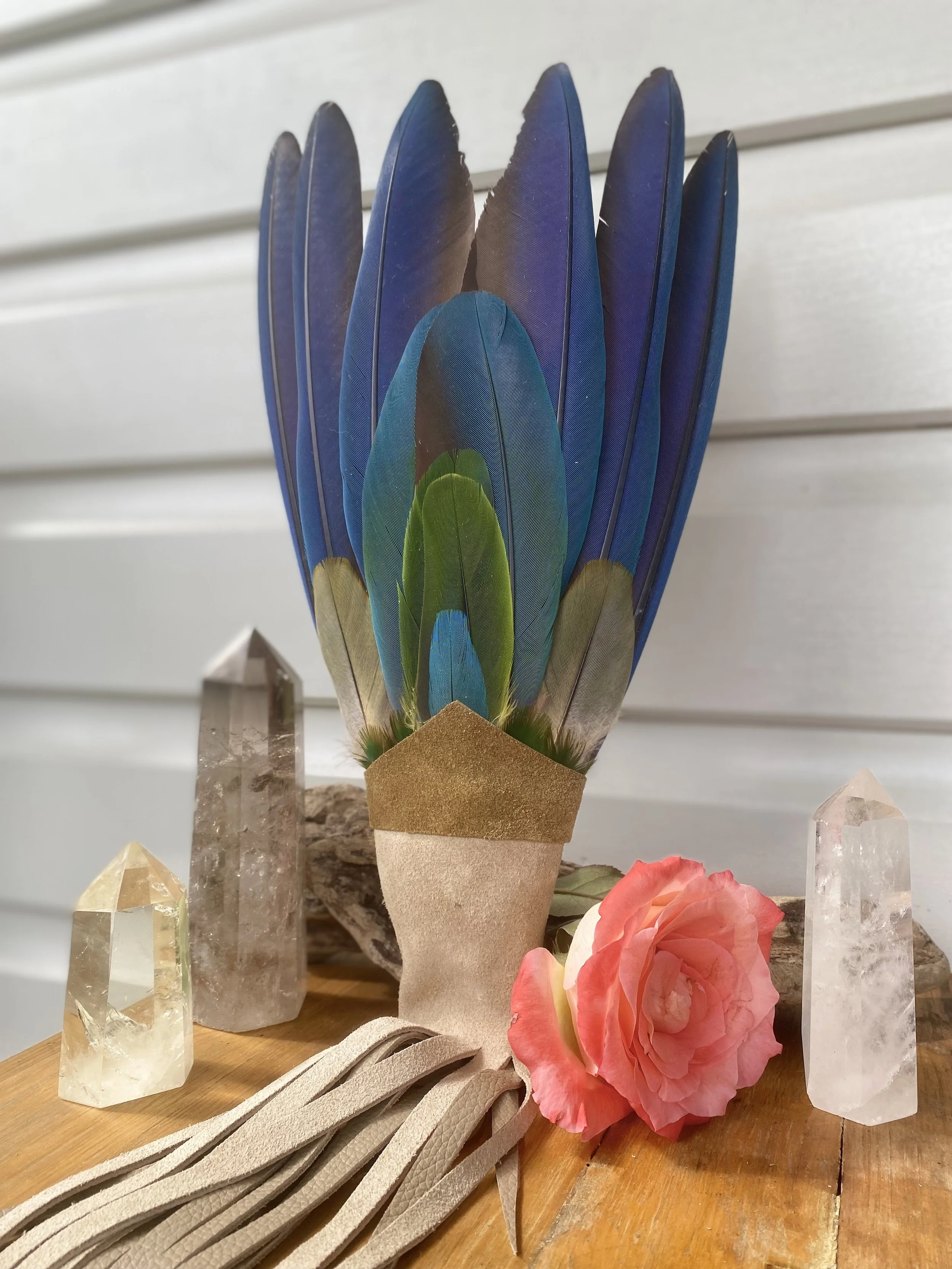 Mighty Macaw Cleansing Fan