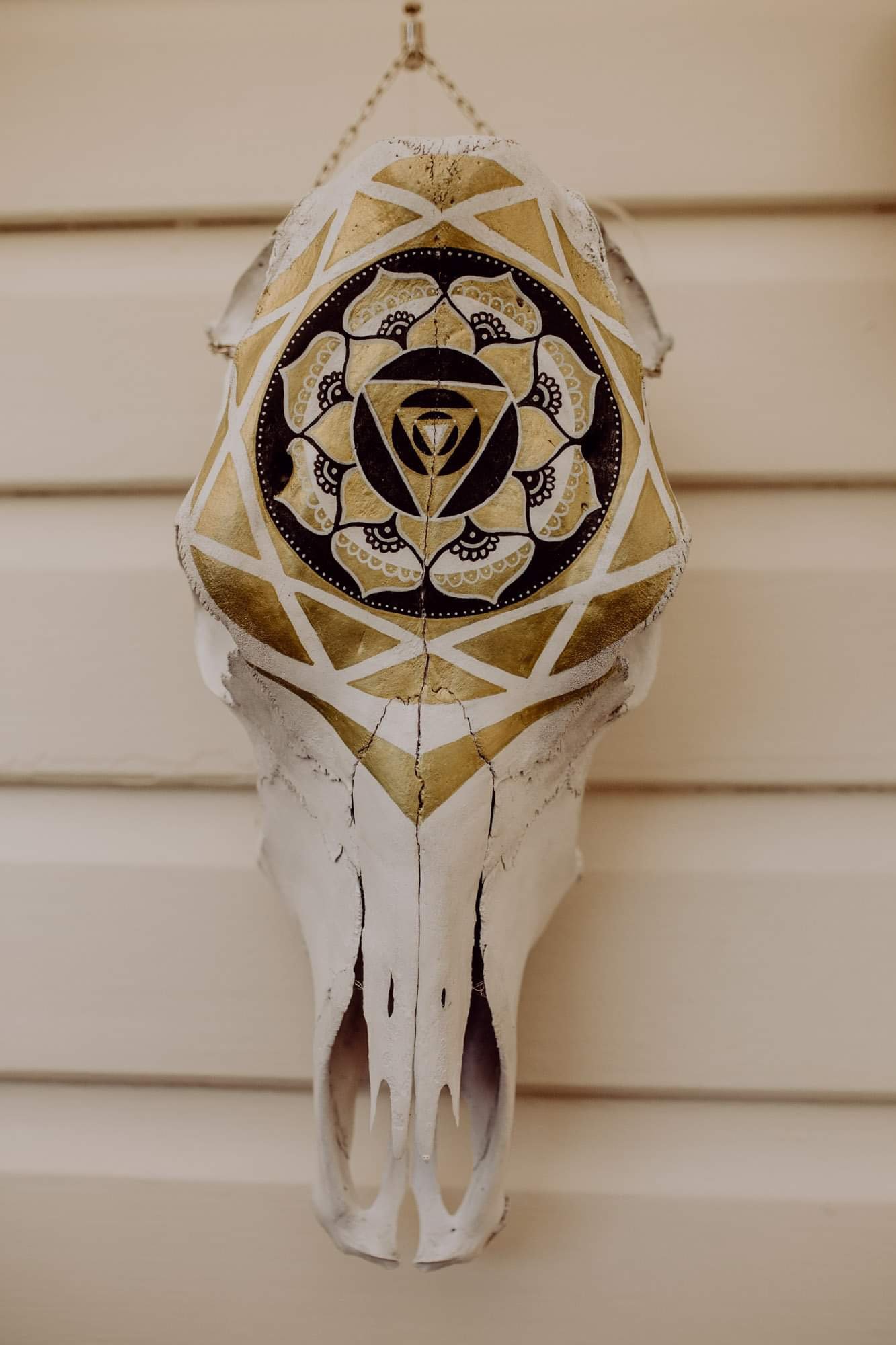 White animal skull with a detailed, symmetrical mandala painted in black and gold on its forehead.