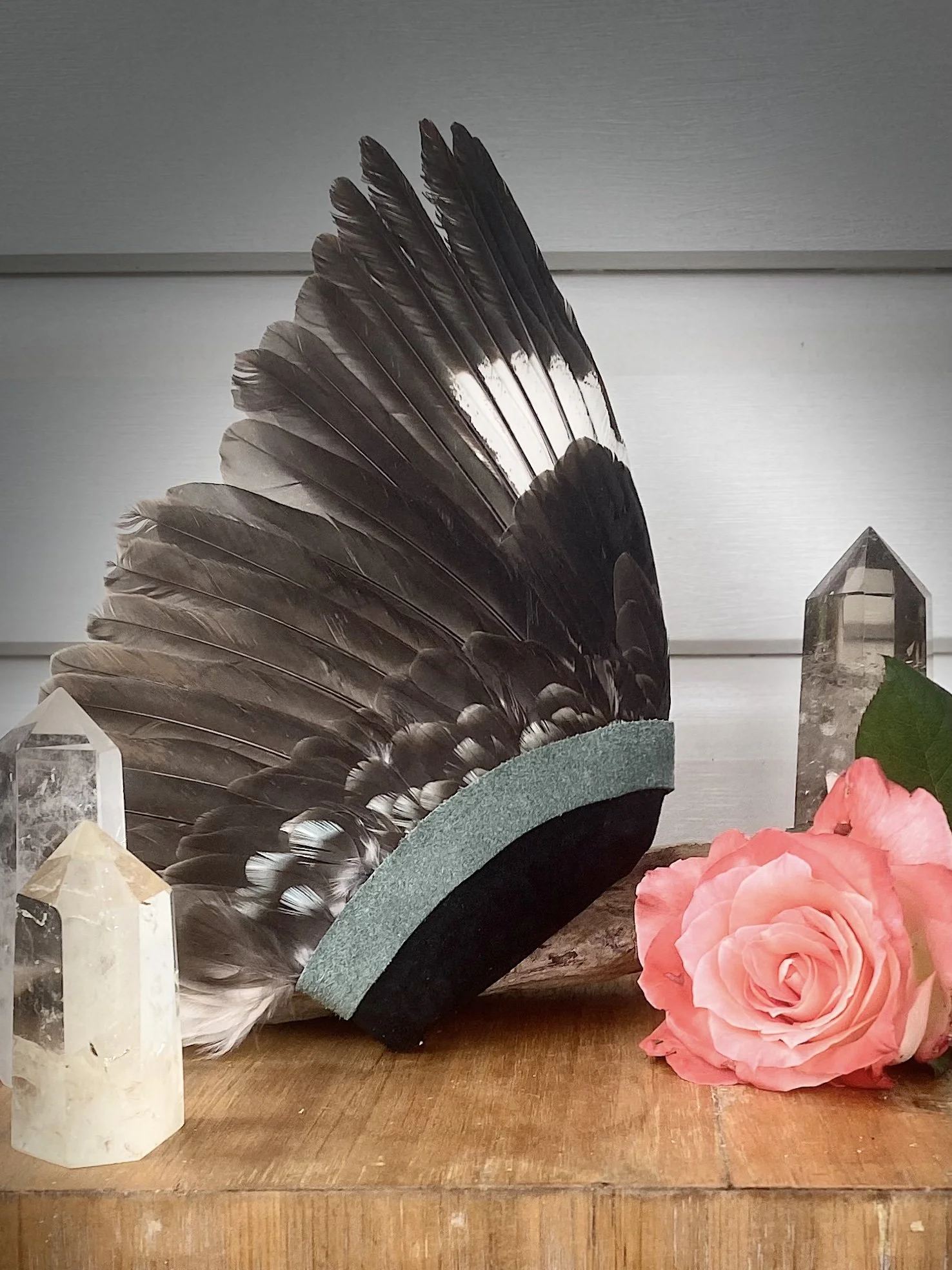 Blue-Winged Kookaburra Fan