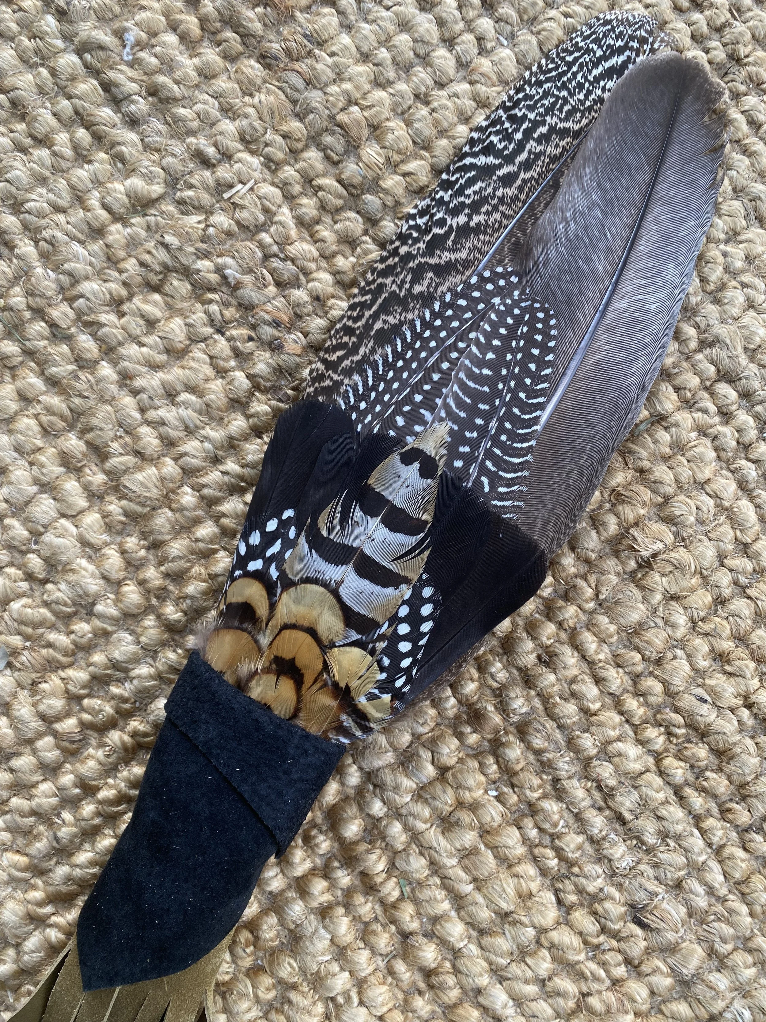 pheasantfan2.jpg