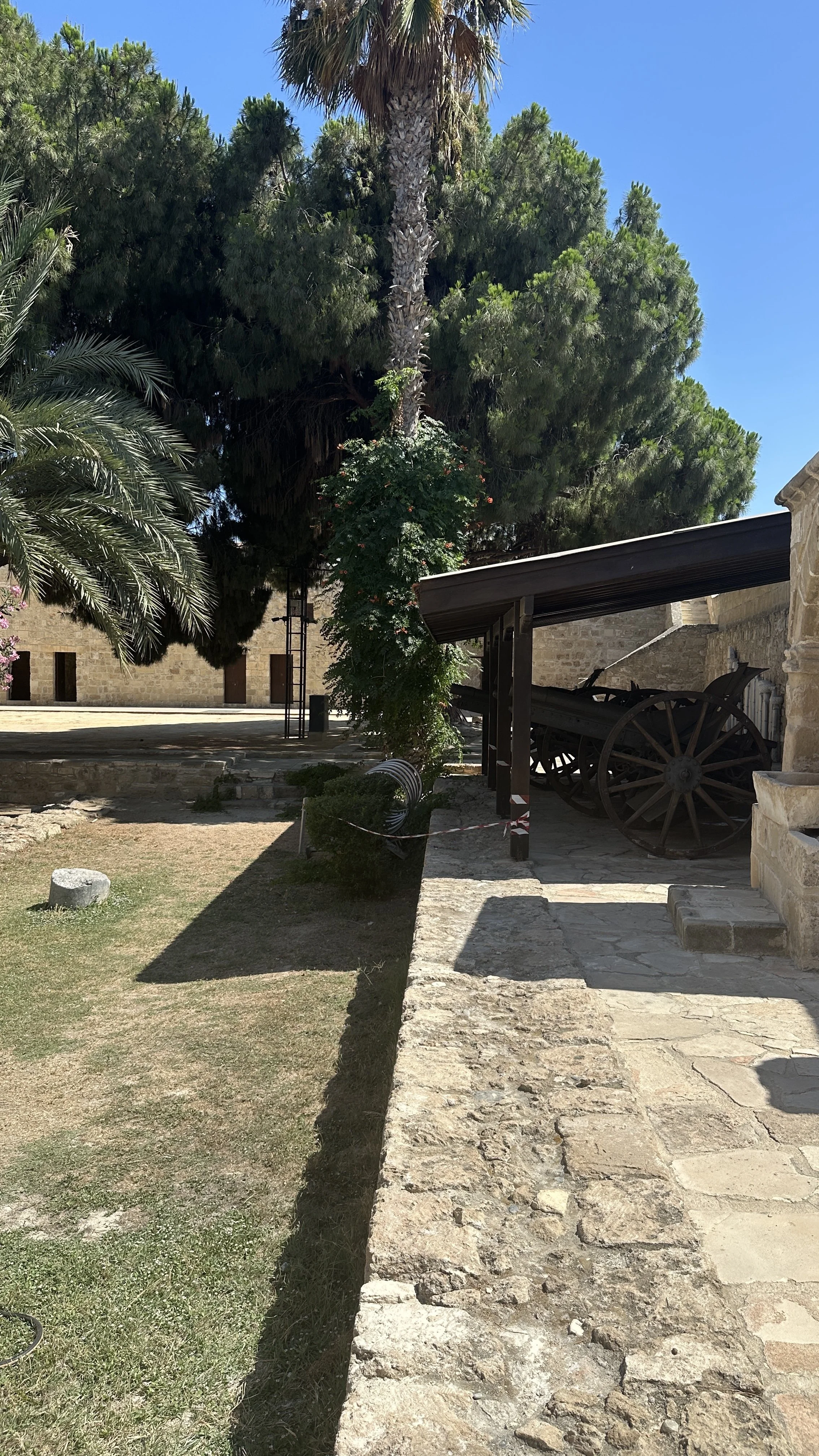 IMG_8391.jpeg