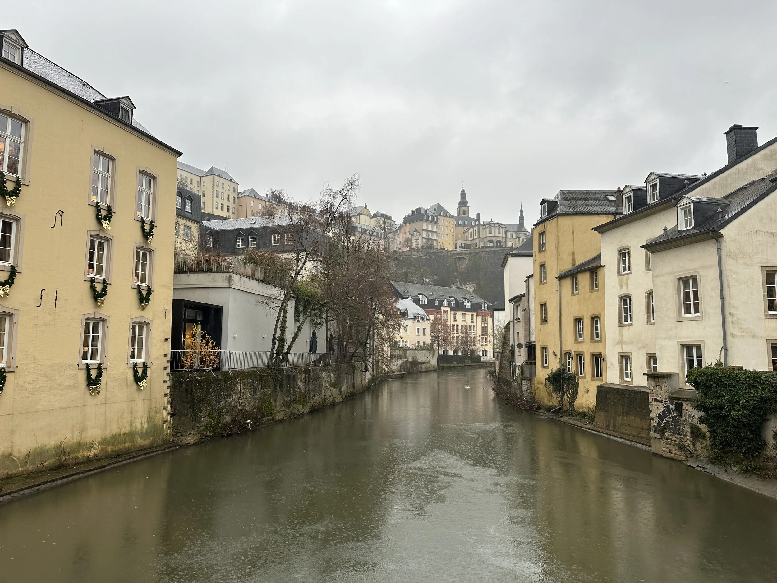 IMG_2244.jpeg