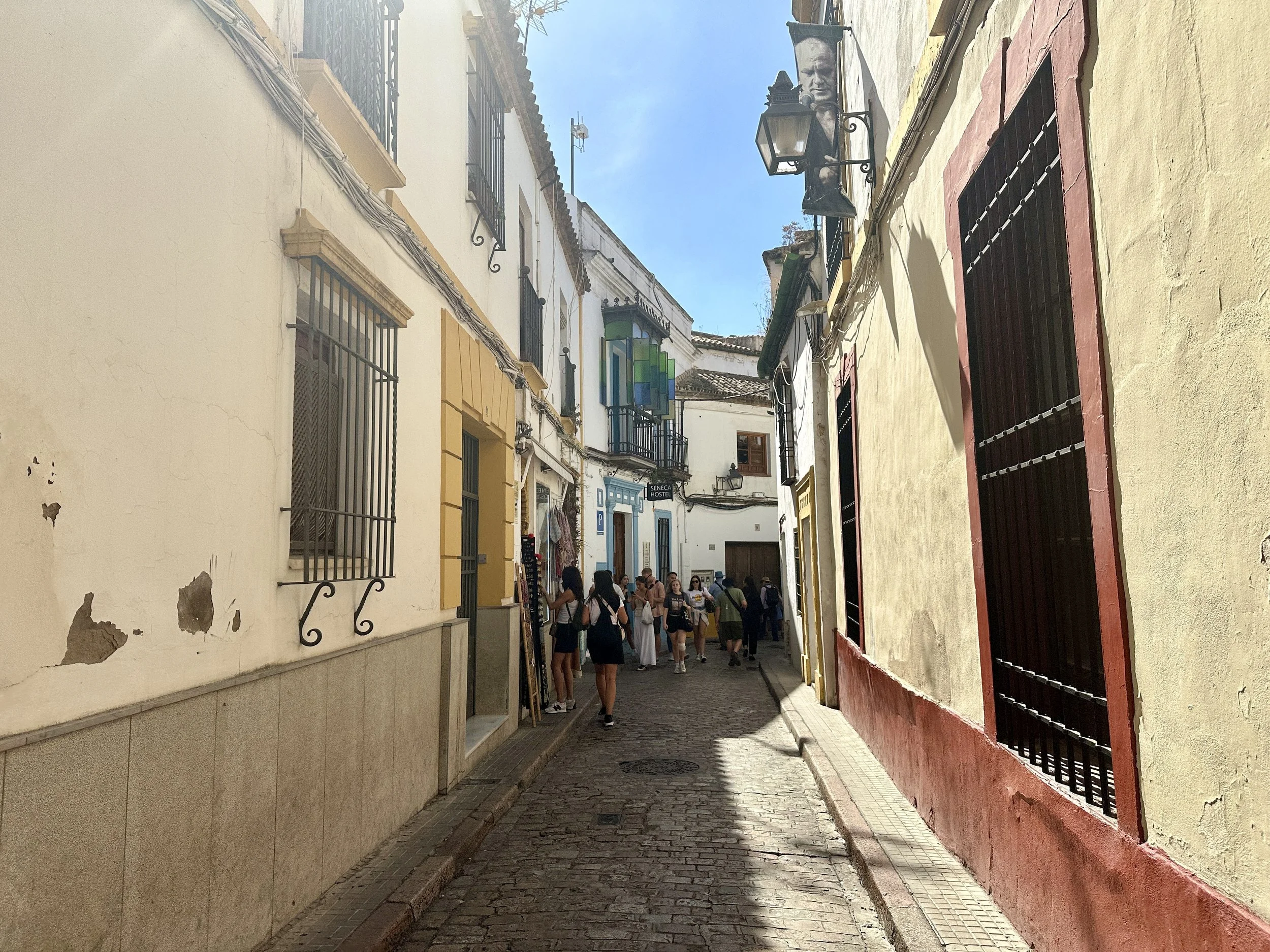 IMG_9515.jpeg