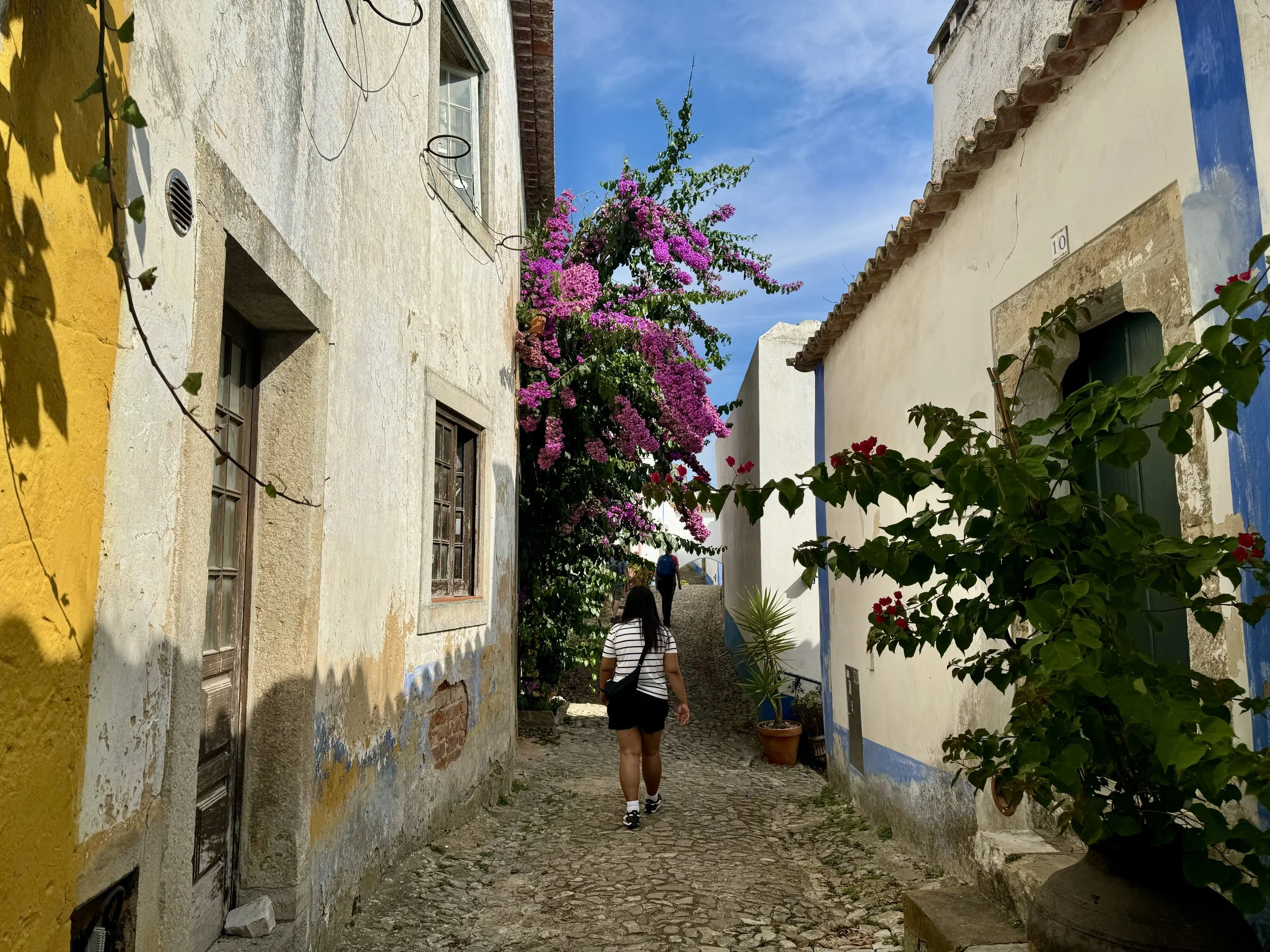 IMG_7007.jpeg