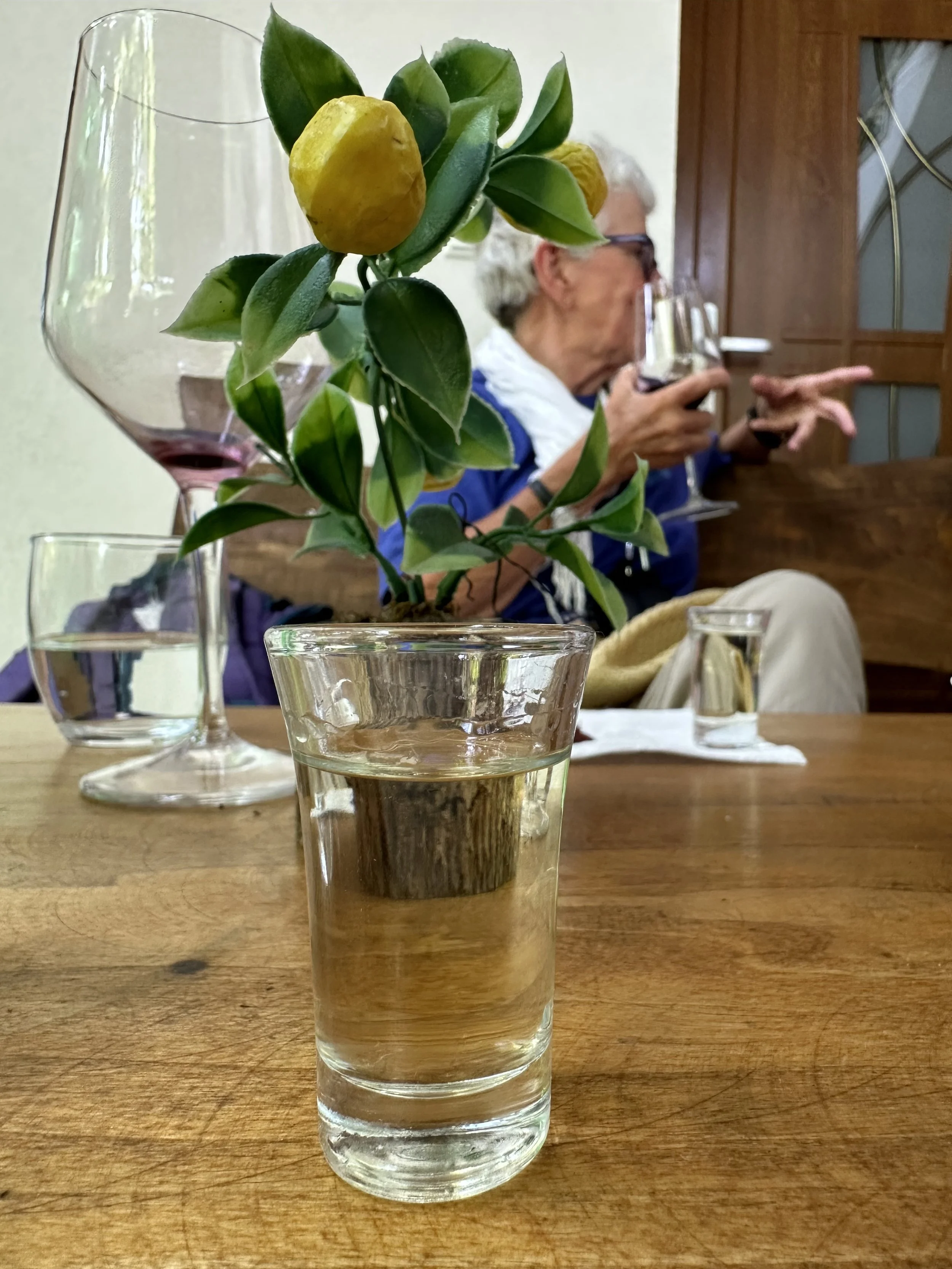 Double Dose of Kosovo Wine: From Daka Wines to Vinica Petrović in Velika Hoča