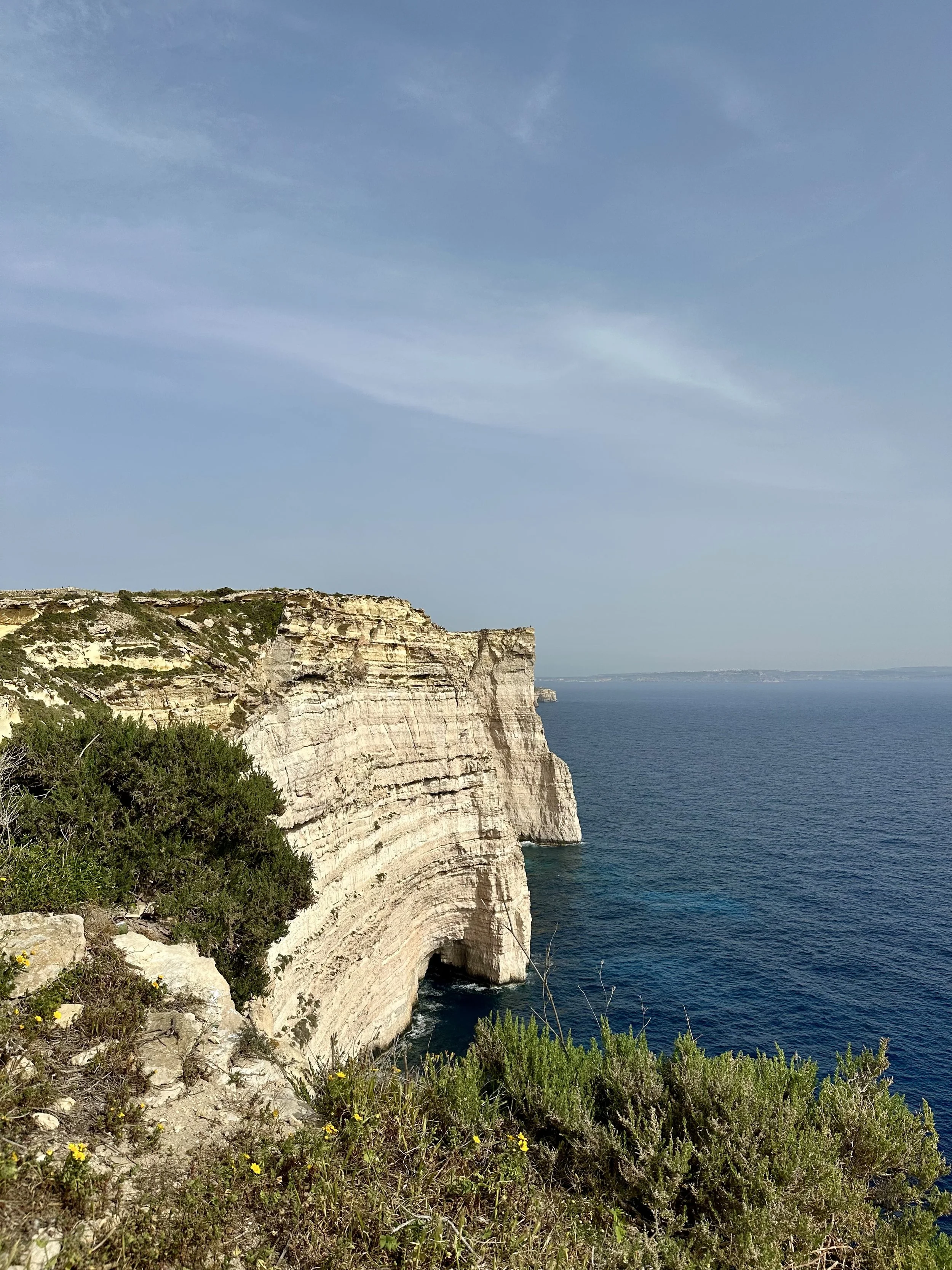 IMG_1850.jpeg