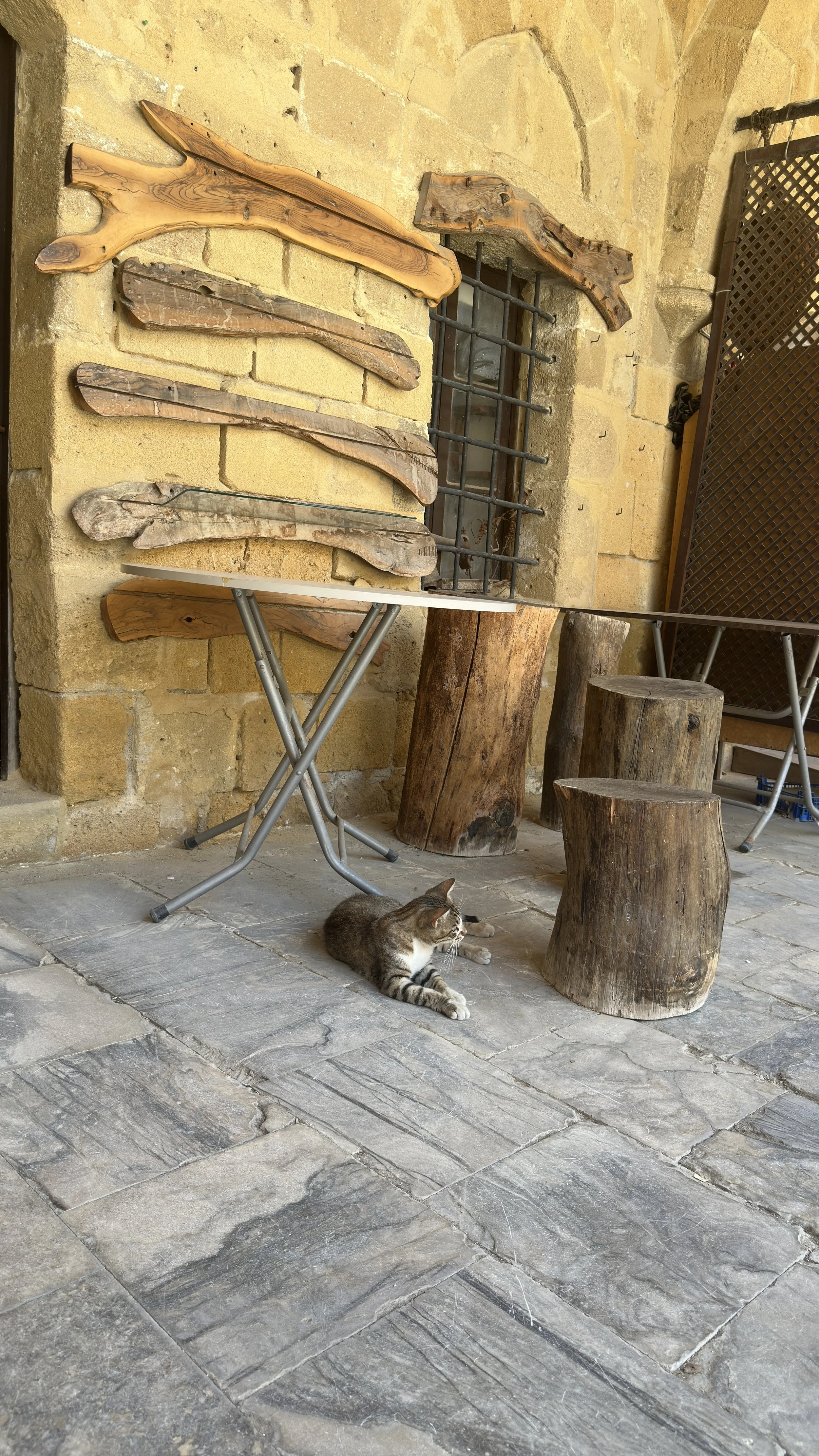 IMG_7884.jpeg