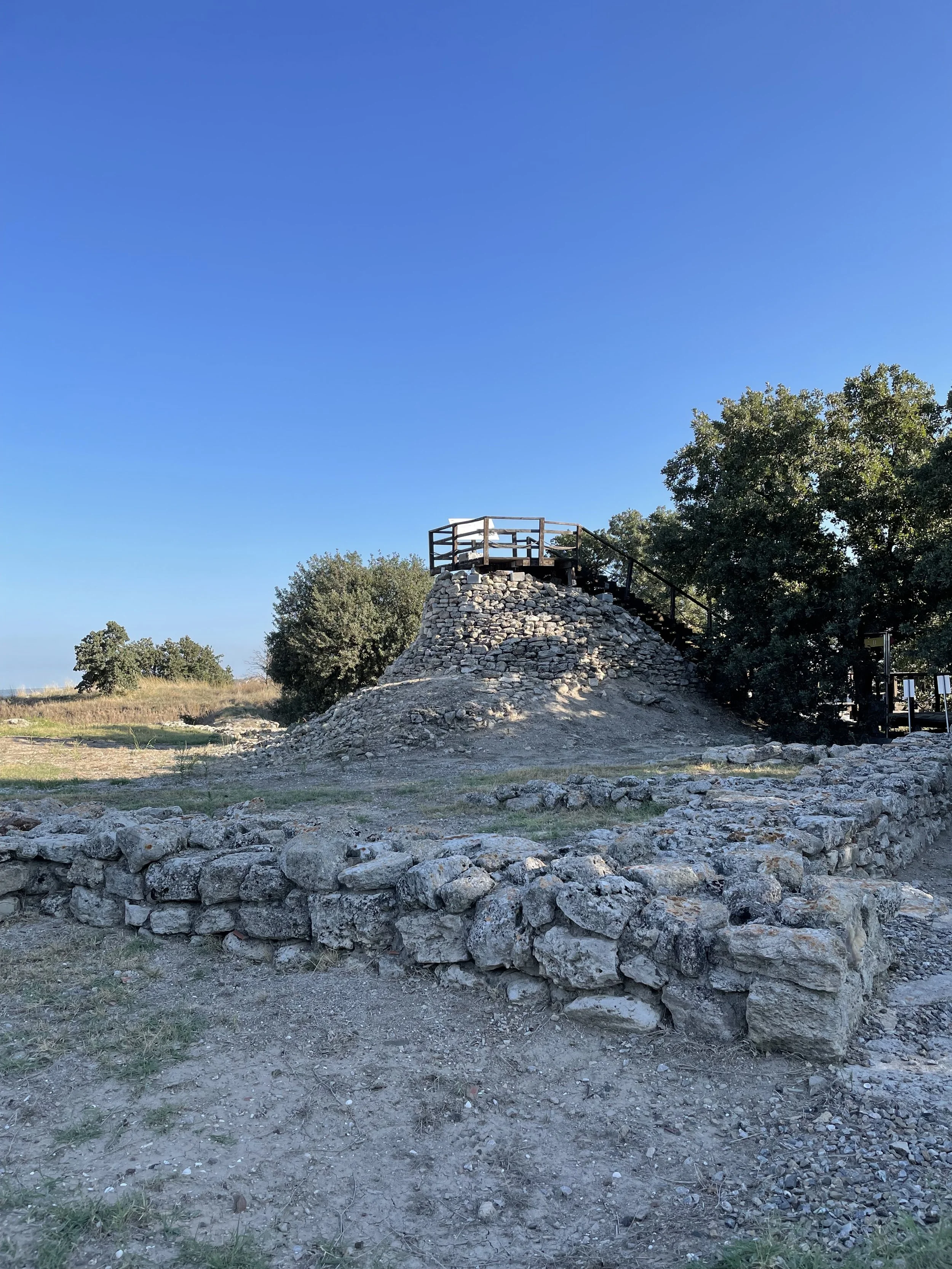 IMG_7492.jpeg