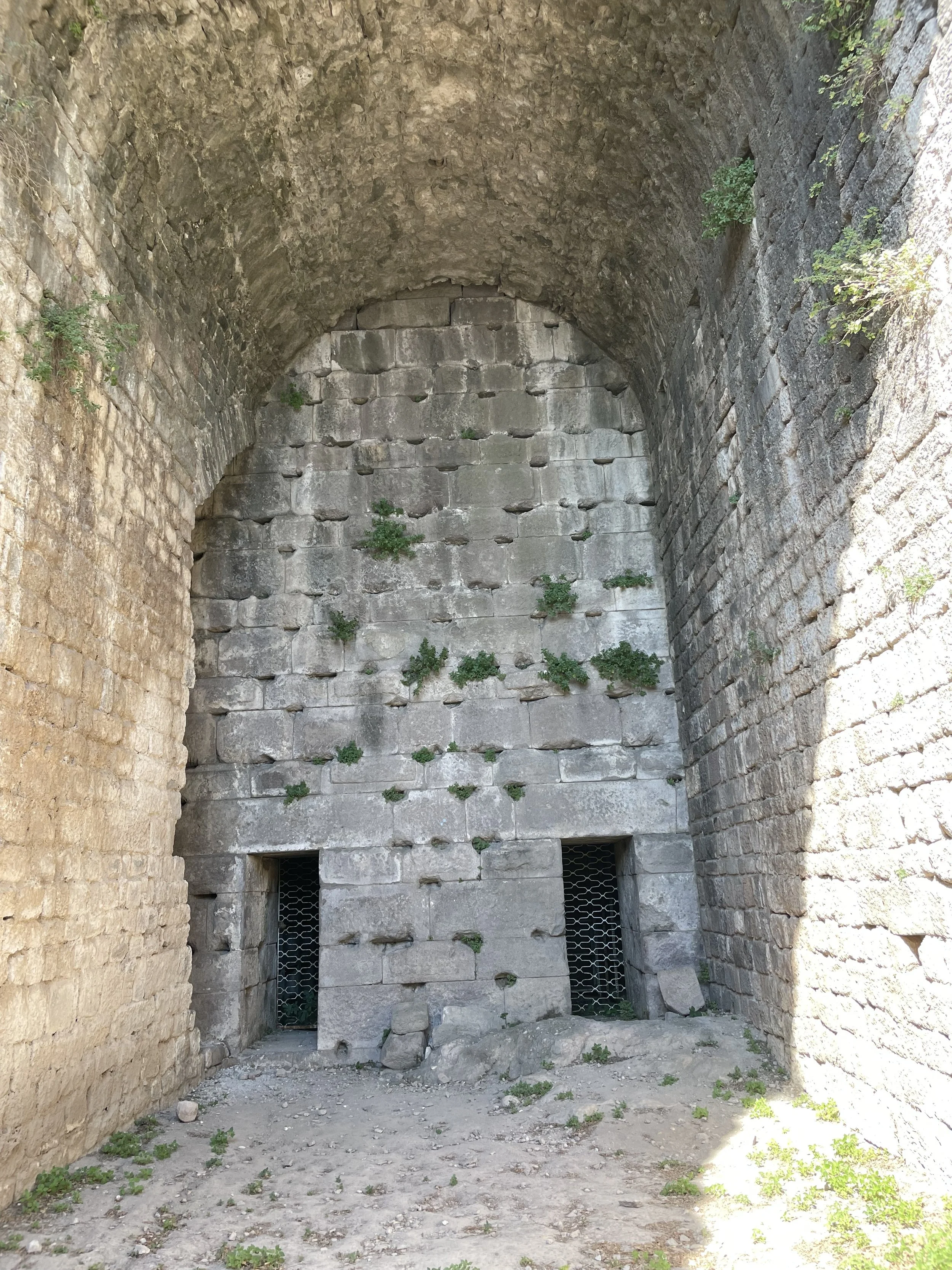 IMG_7546.jpeg