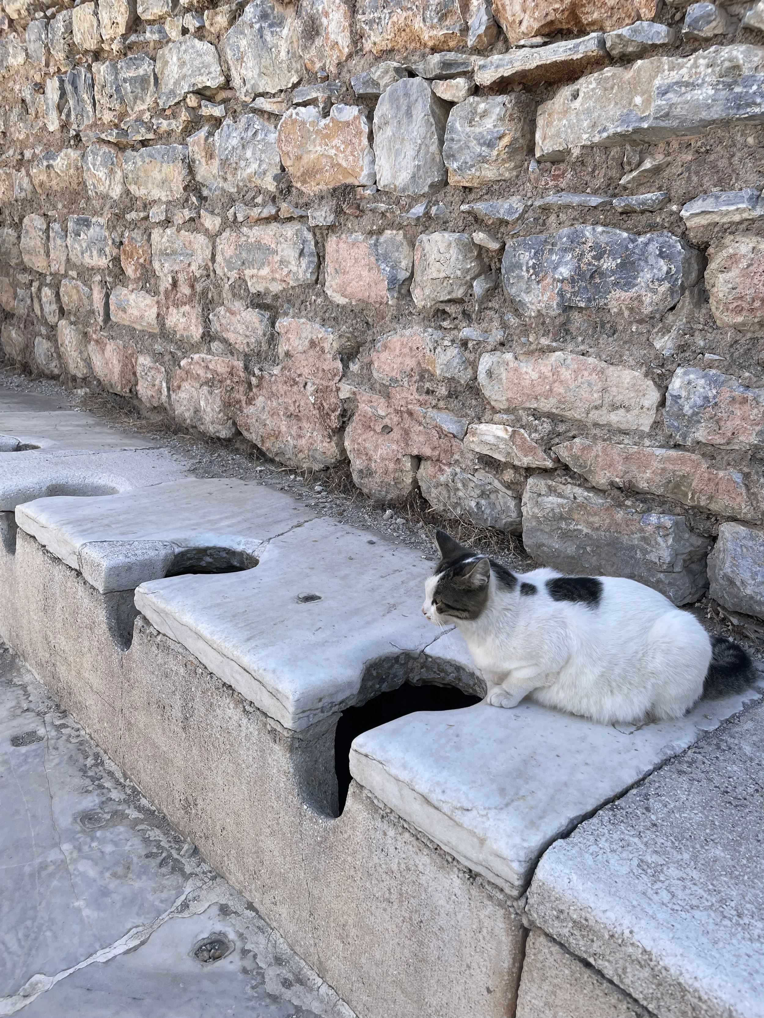 IMG_7670.jpeg