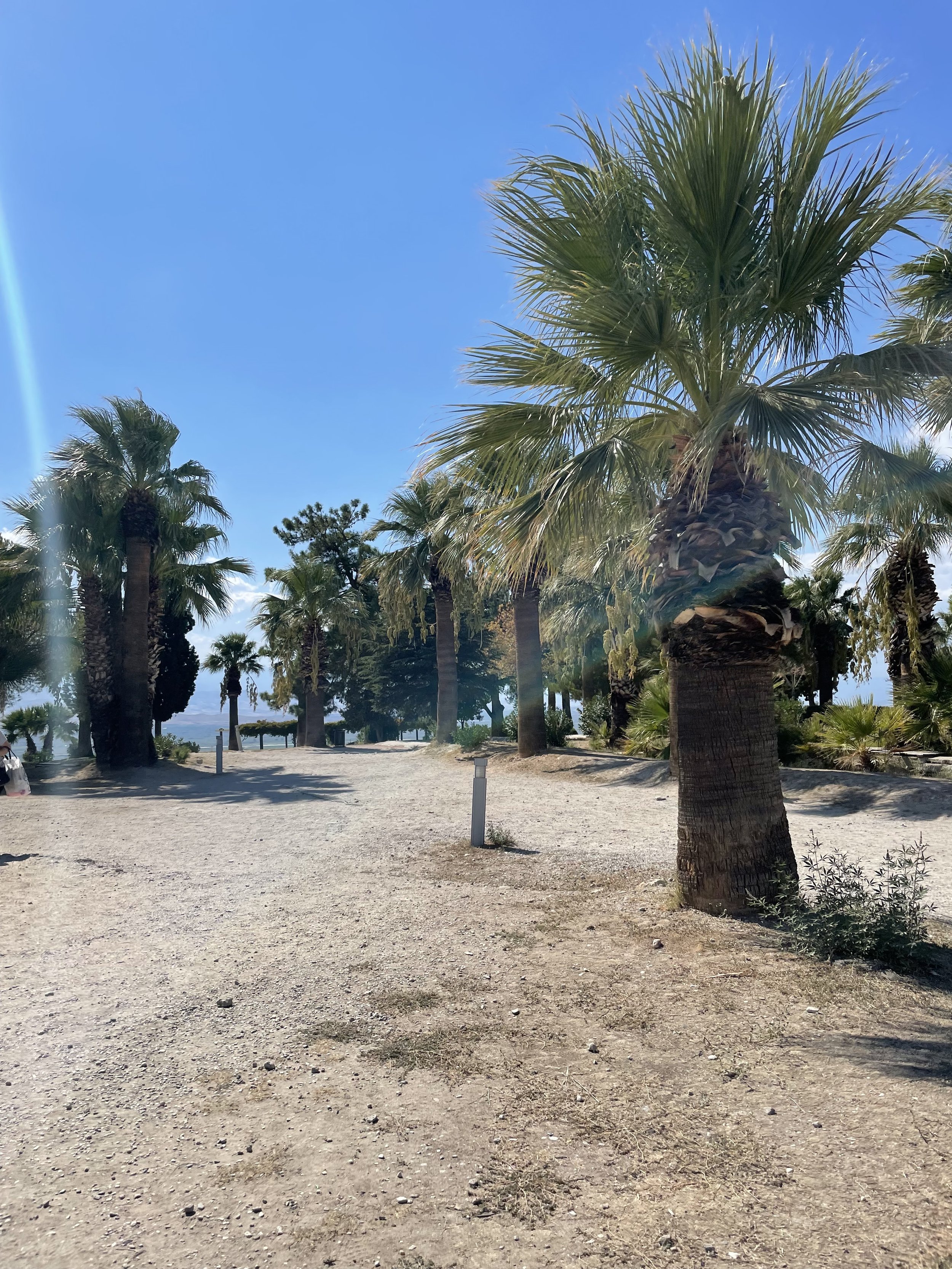 IMG_7932.jpeg