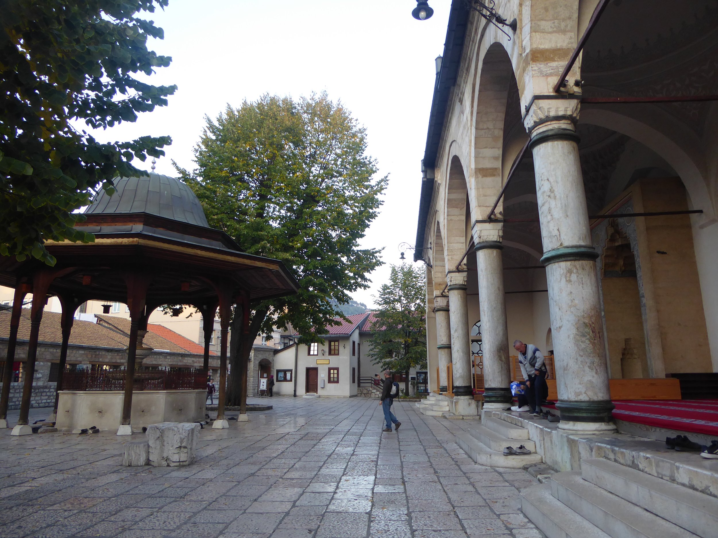 P1050993.JPG