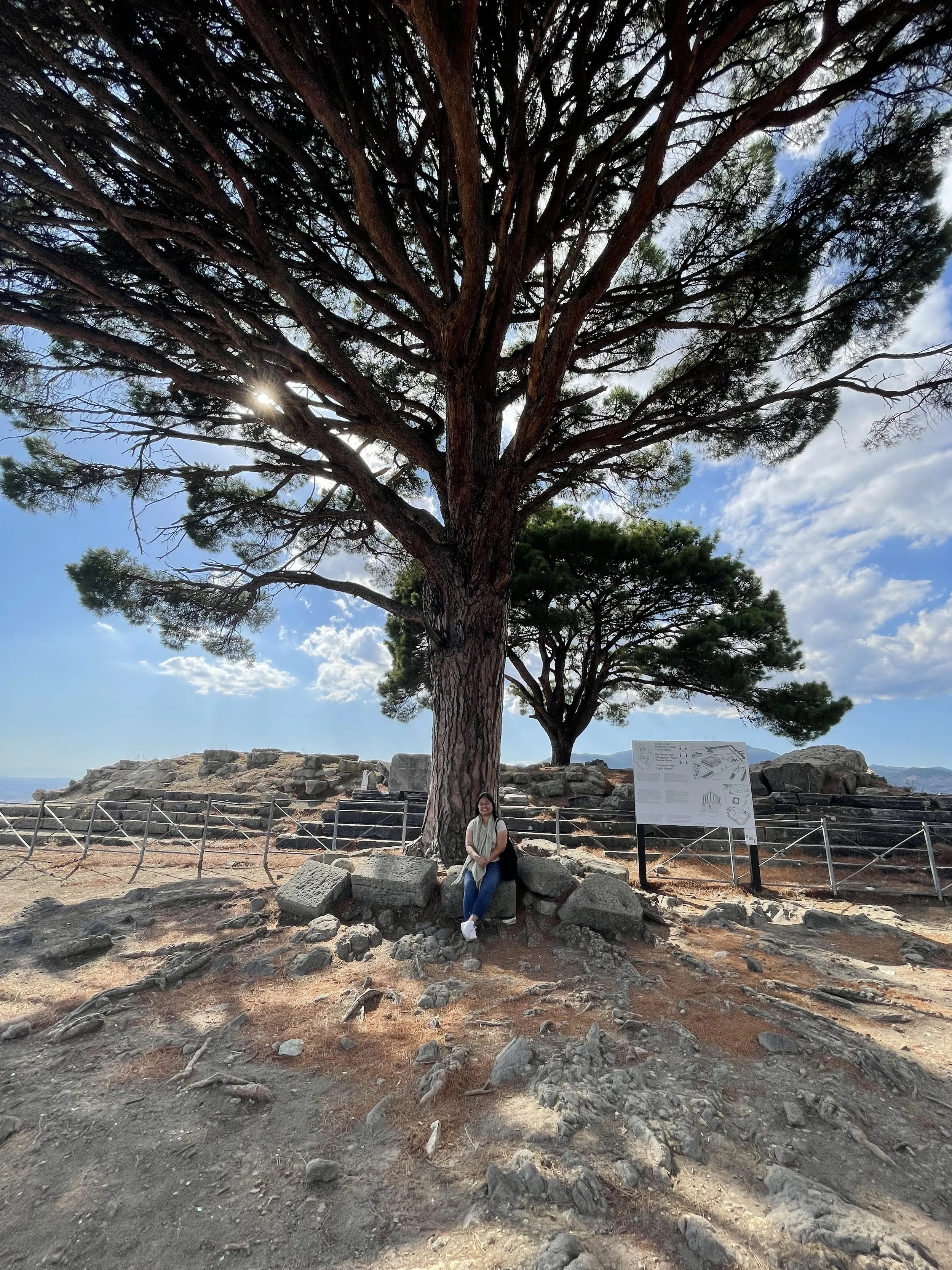 Altar of Zeus