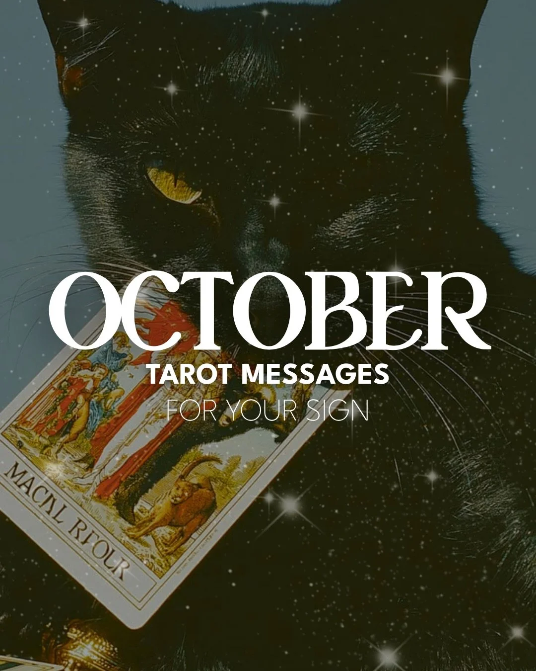 October messages from the cards 👻 take what resonates and leave the rest for someone else ✨ check out your sun, moon and rising and let me know it makes sense by commenting &ldquo;👻&rdquo; 

I&rsquo;ve not done one of these for so long and recently