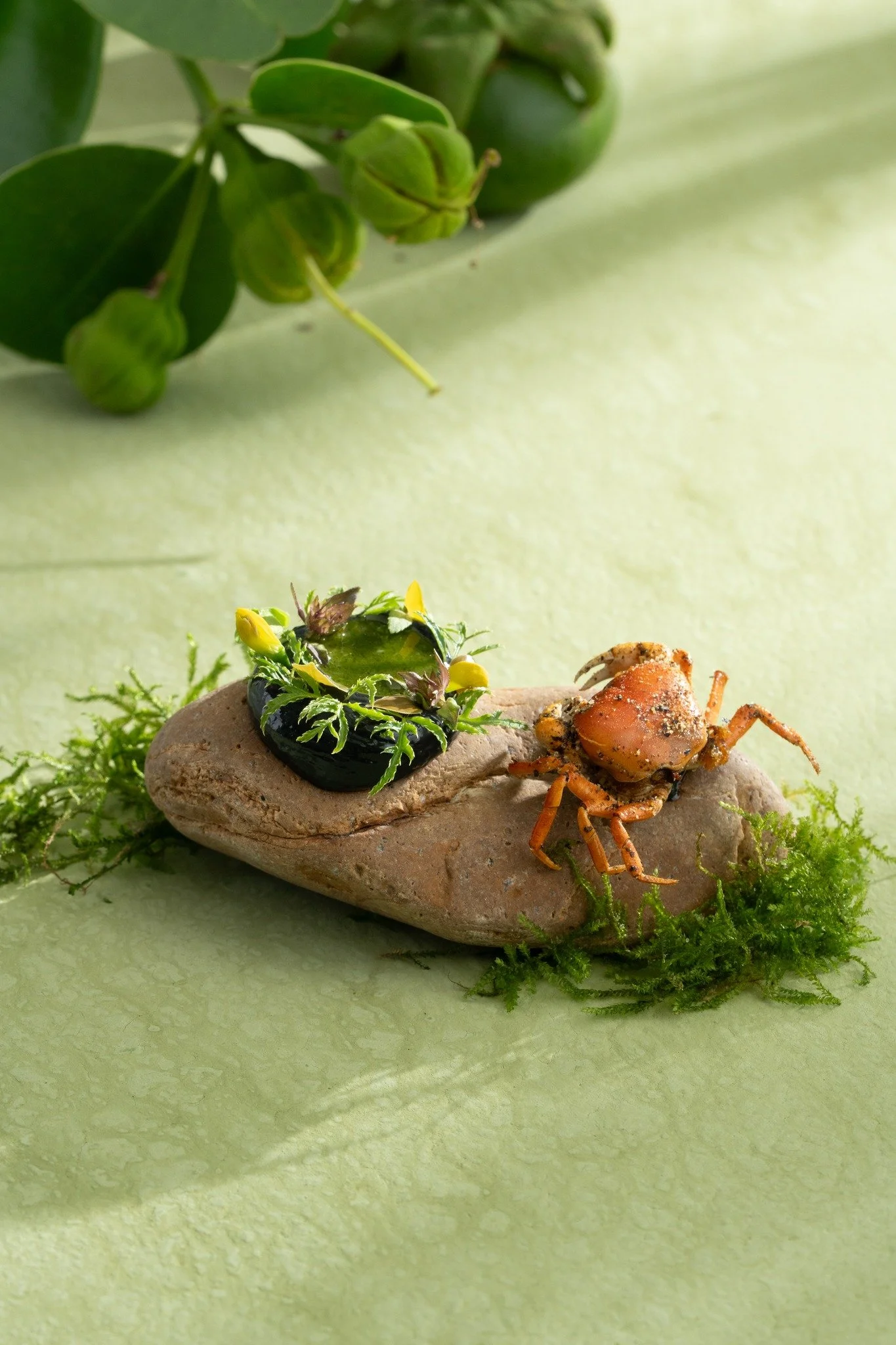 Tasting Menu Miet Thu 4.jpg
