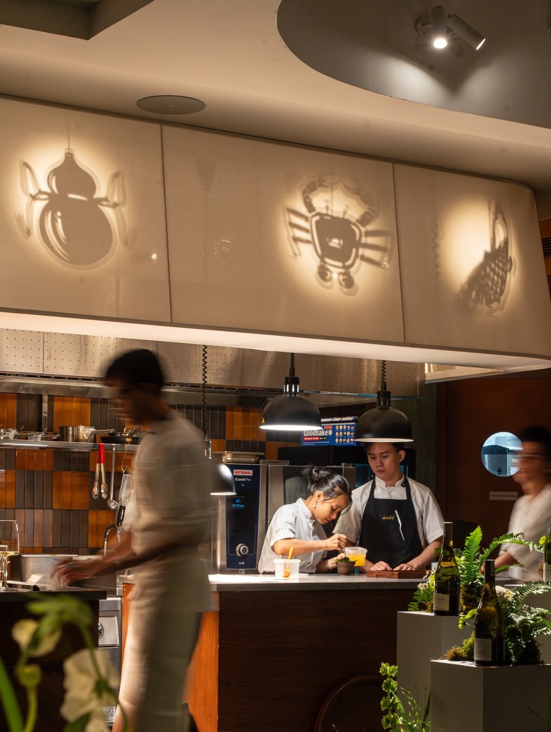 Cloudy Bay Event Aiii  3.jpg