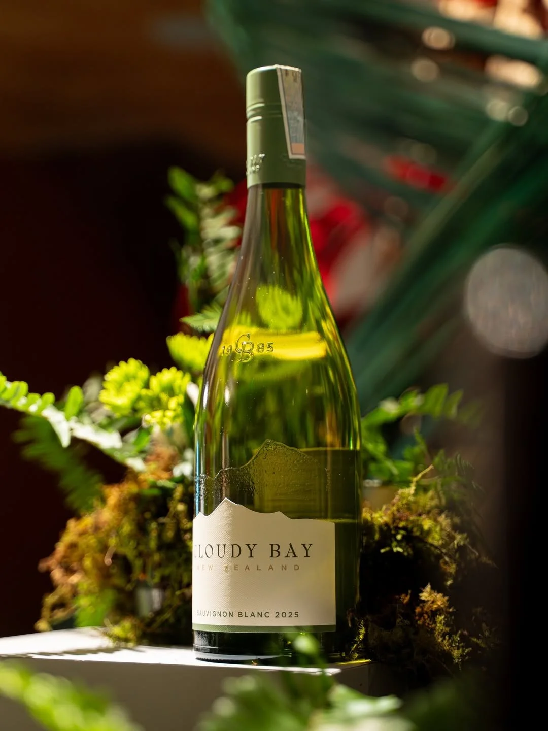 Cloudy Bay Event Aiii 8 .jpg