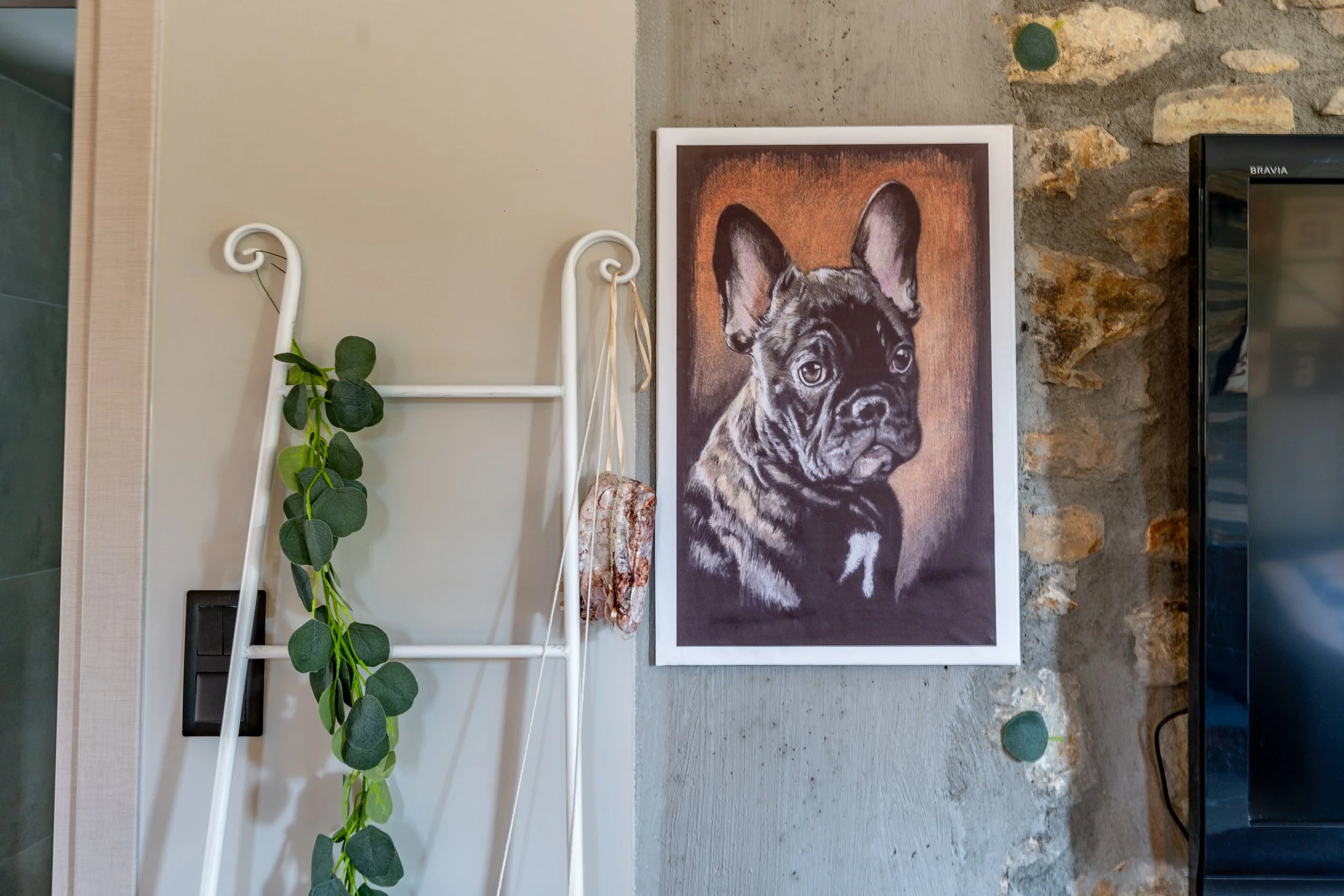 Portrait of a black and brindle French Bulldog puppy hanging on a wall.