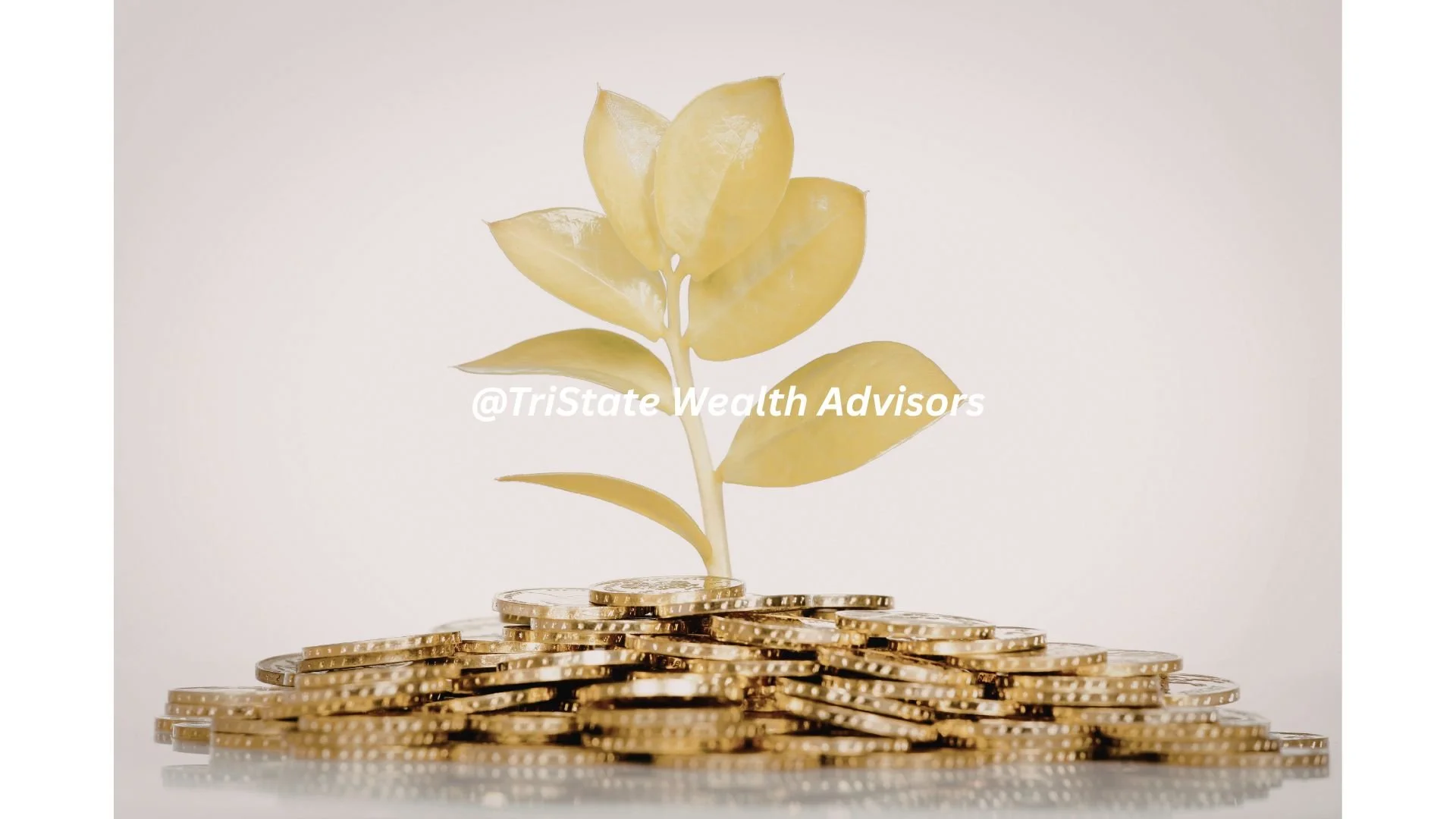 Independent Wealth Management Firms: Why Independence Matters More Than Ever