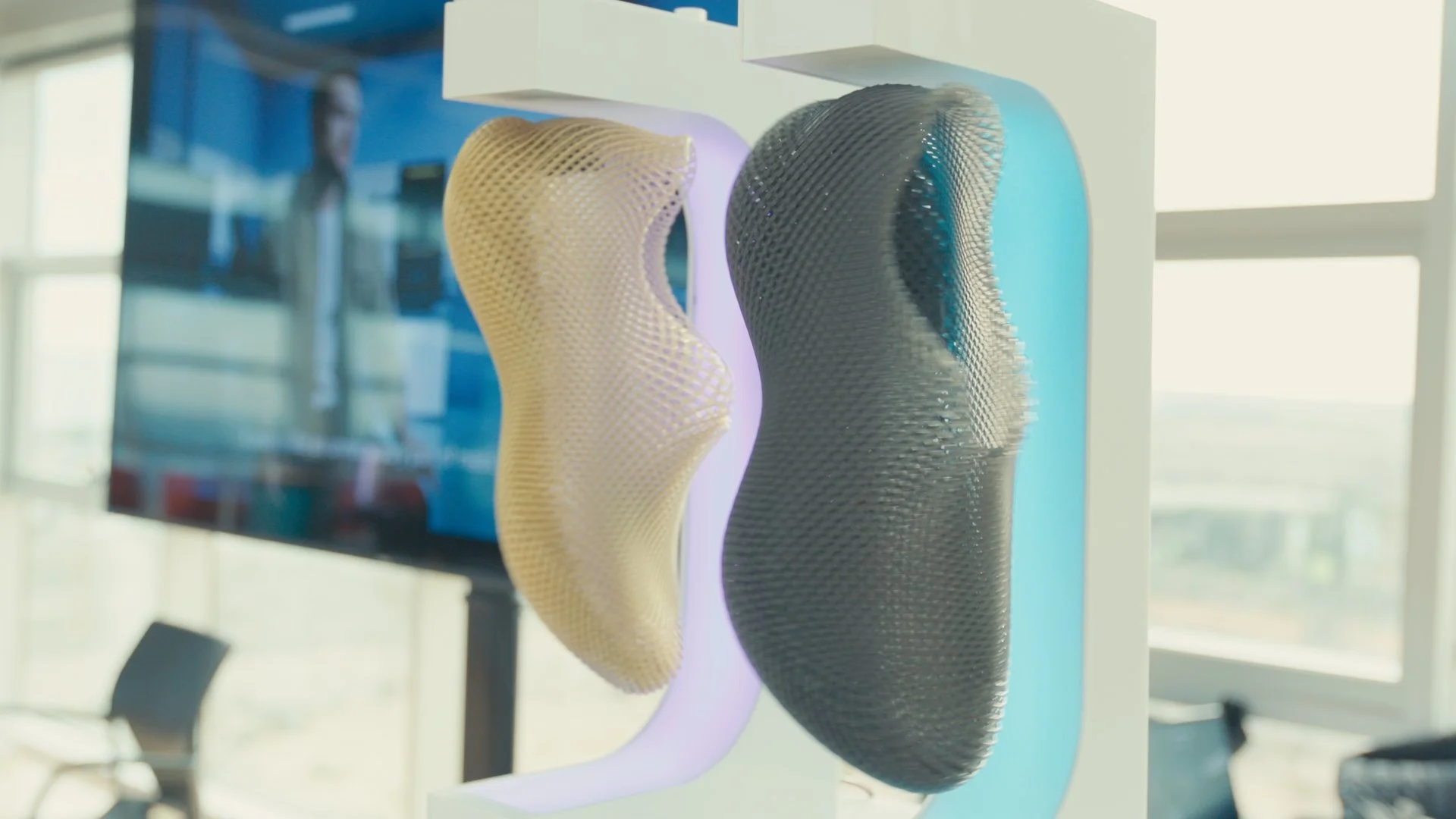 Diana 1 - bunions_01_10_45_21.jpg